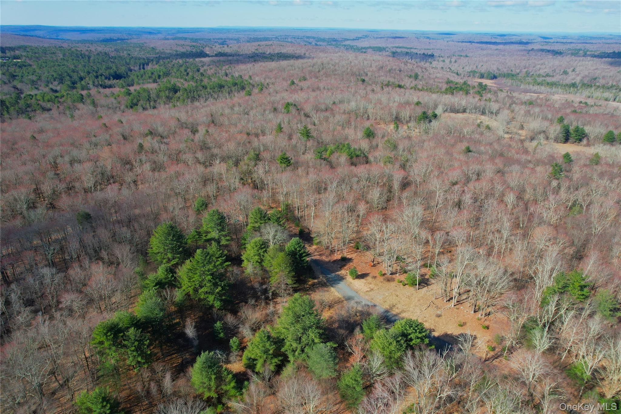 Single Family Hilltop Road Sullivan County, NY 12701, MLS-1027783-46