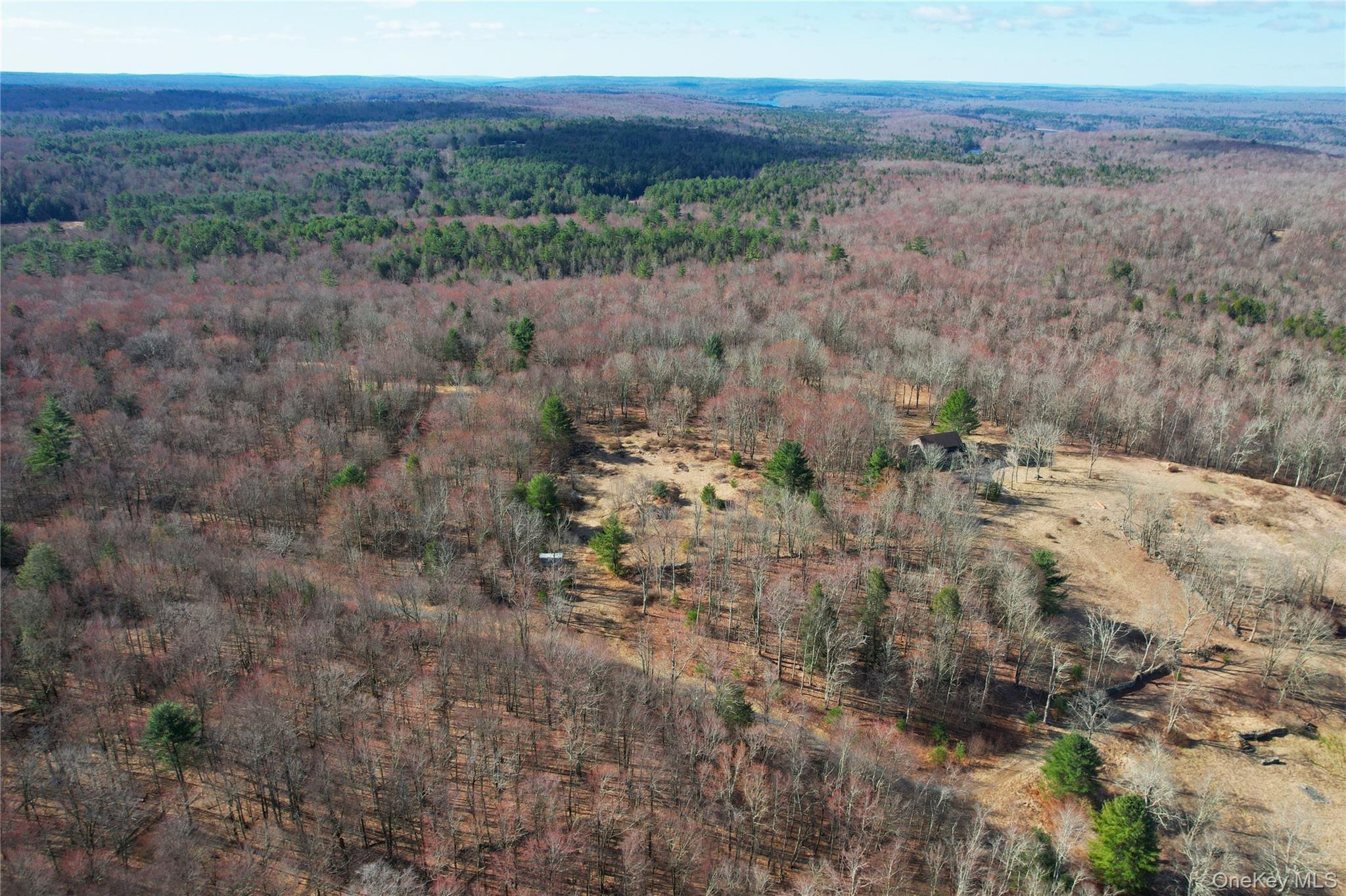 Single Family Hilltop Road Sullivan County, NY 12701, MLS-1027783-47