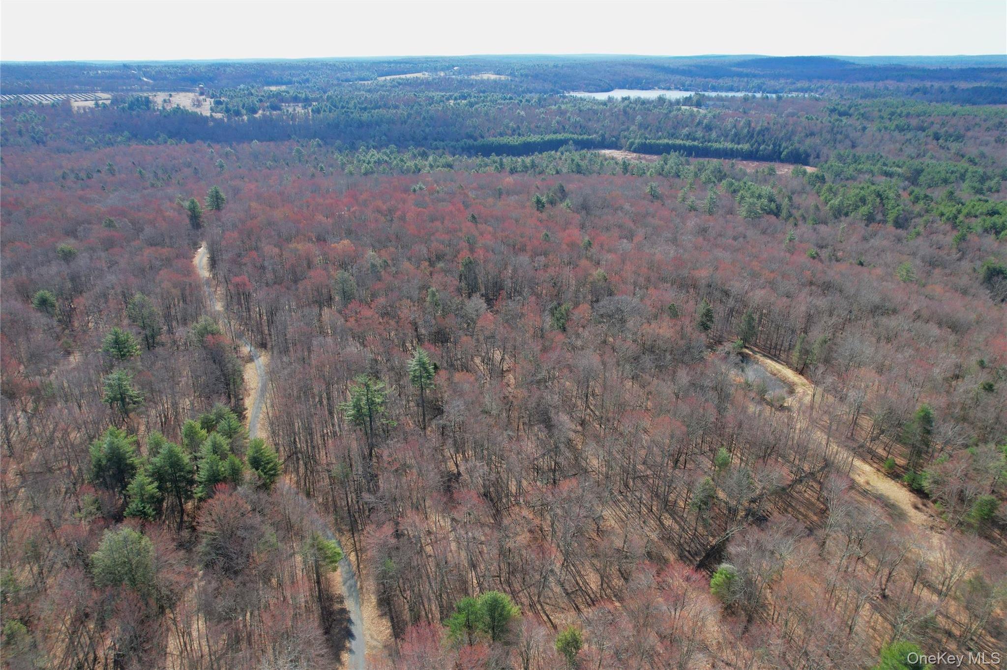 Single Family Hilltop Road Sullivan County, NY 12701, MLS-1027783-48