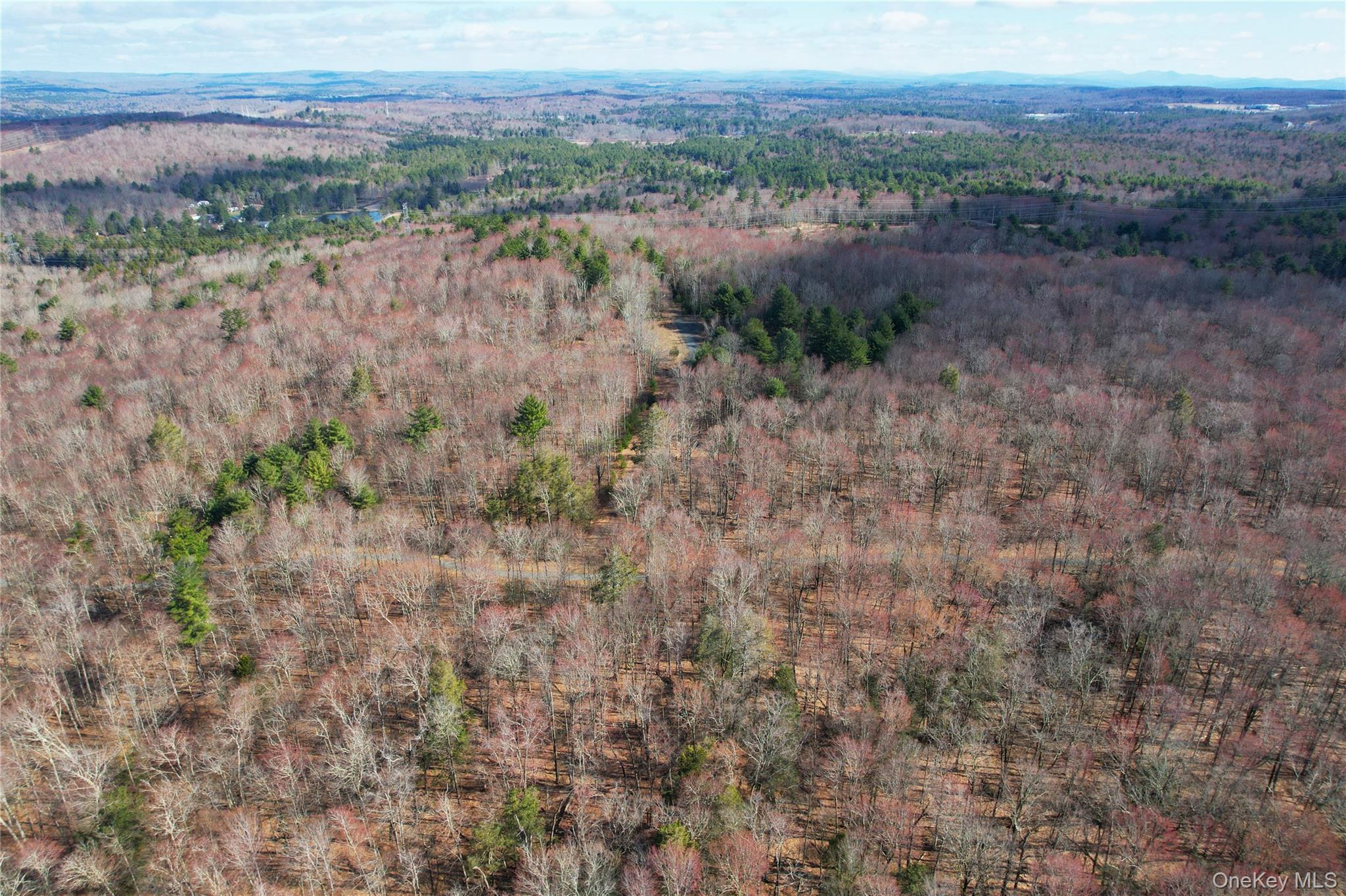 Single Family Hilltop Road Sullivan County, NY 12701, MLS-1027783-49
