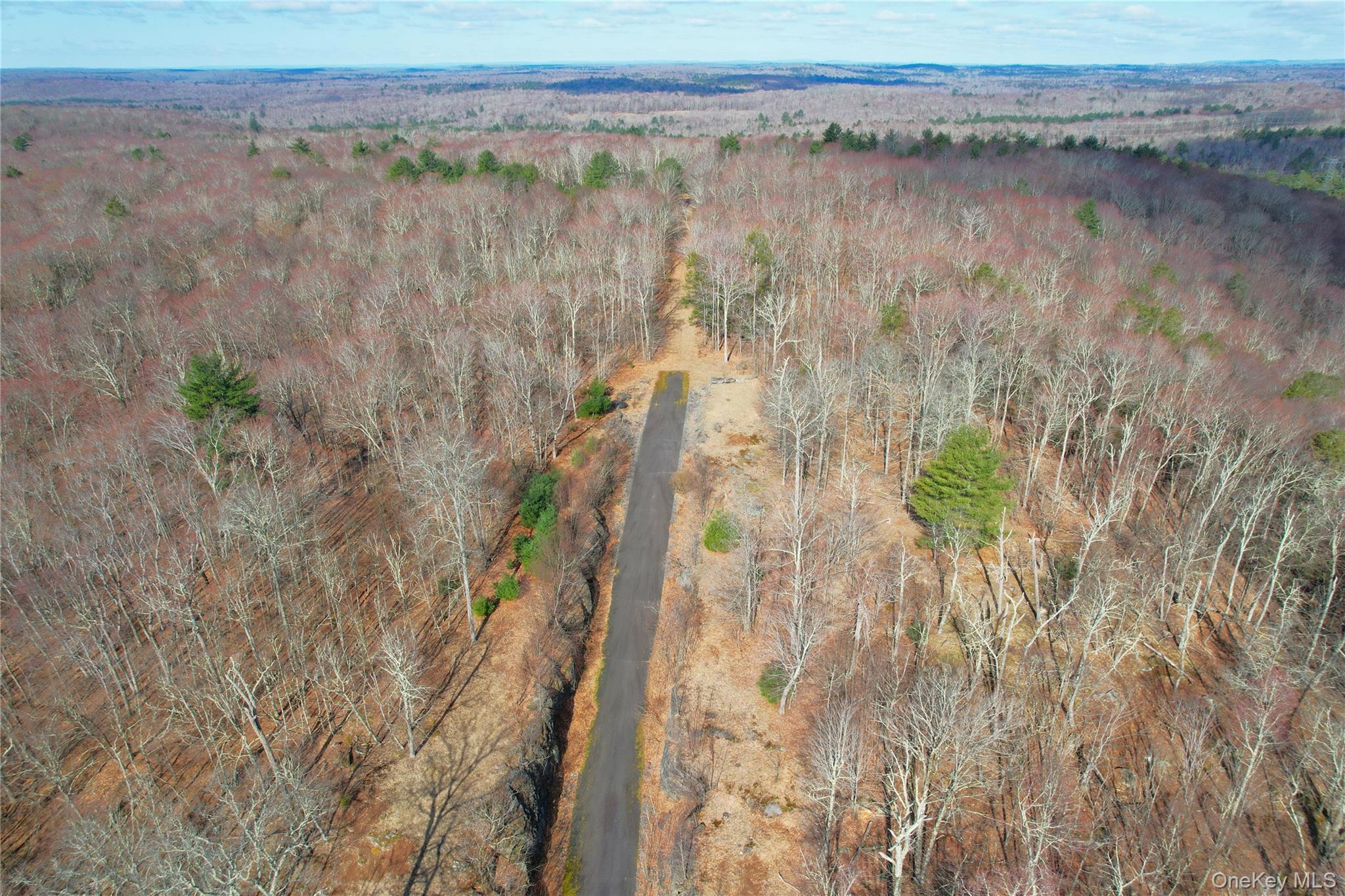 Single Family Hilltop Road Sullivan County, NY 12701, MLS-1027783-5