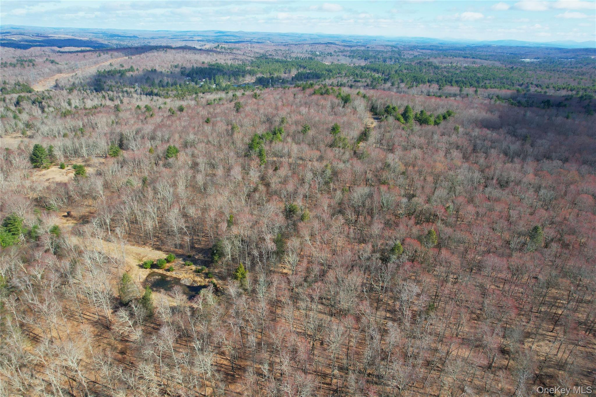 Single Family Hilltop Road  Sullivan County, NY 12701, MLS-1027783-50