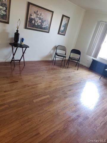 Single Family Murdock Avenue Queens, NY 11429, MLS-1027786-5