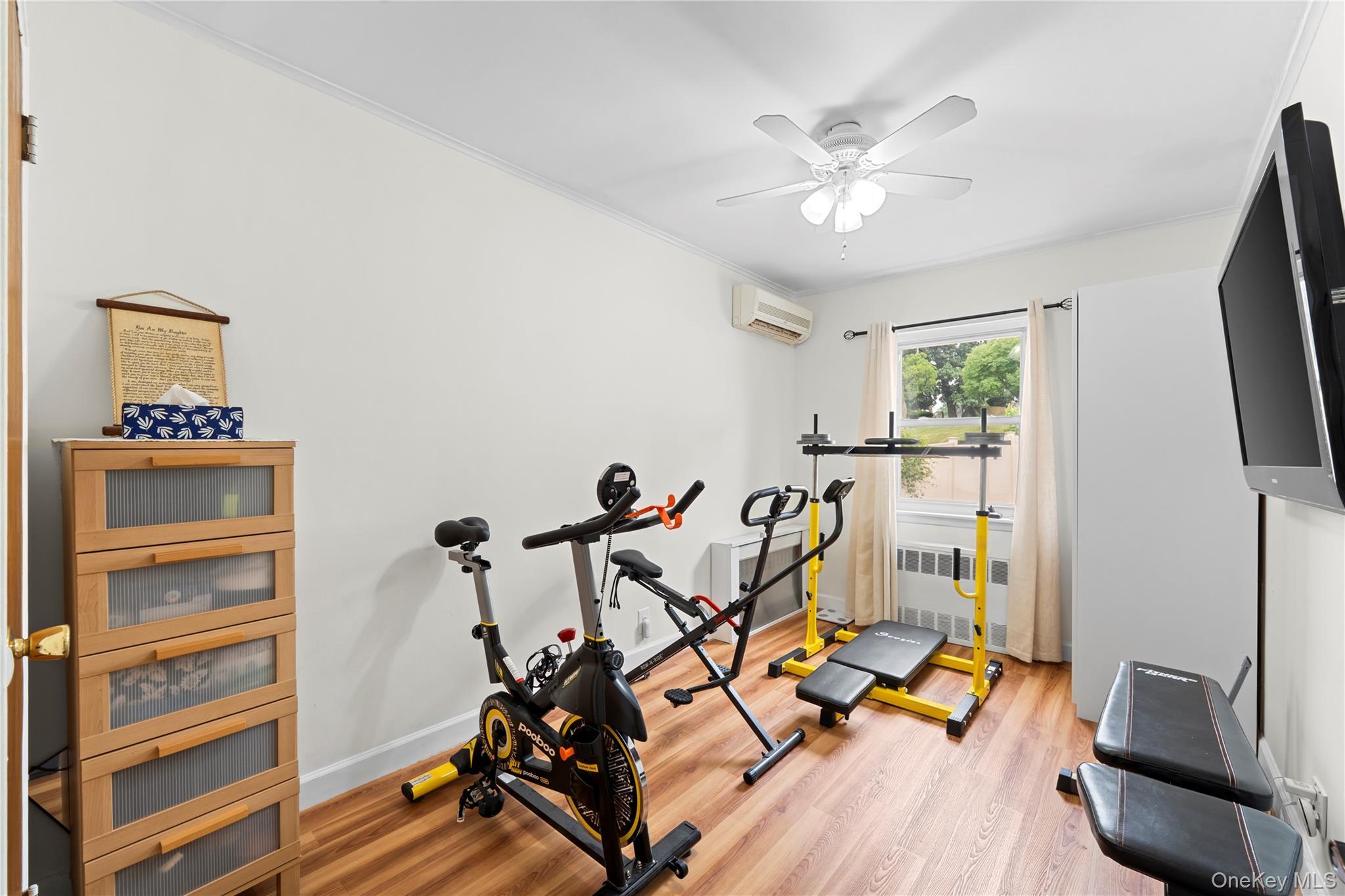 Single Family Eliot Avenue  Queens, NY 11379, MLS-1027824-13