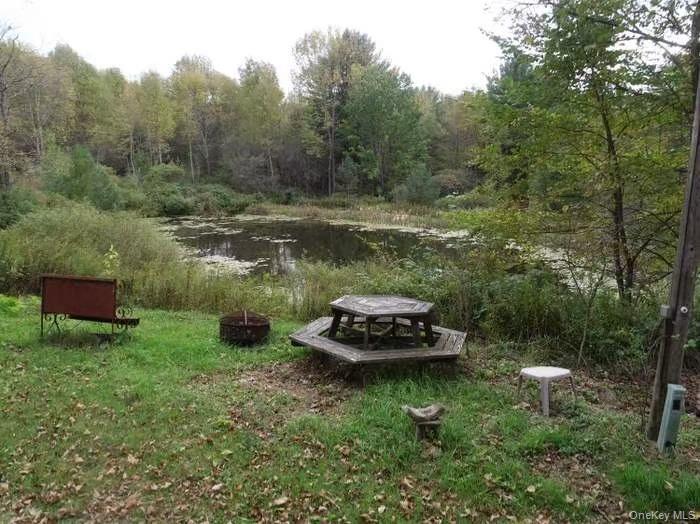 Single Family County Highway 4  Out Of Area, NY 13776, MLS-1027919-3