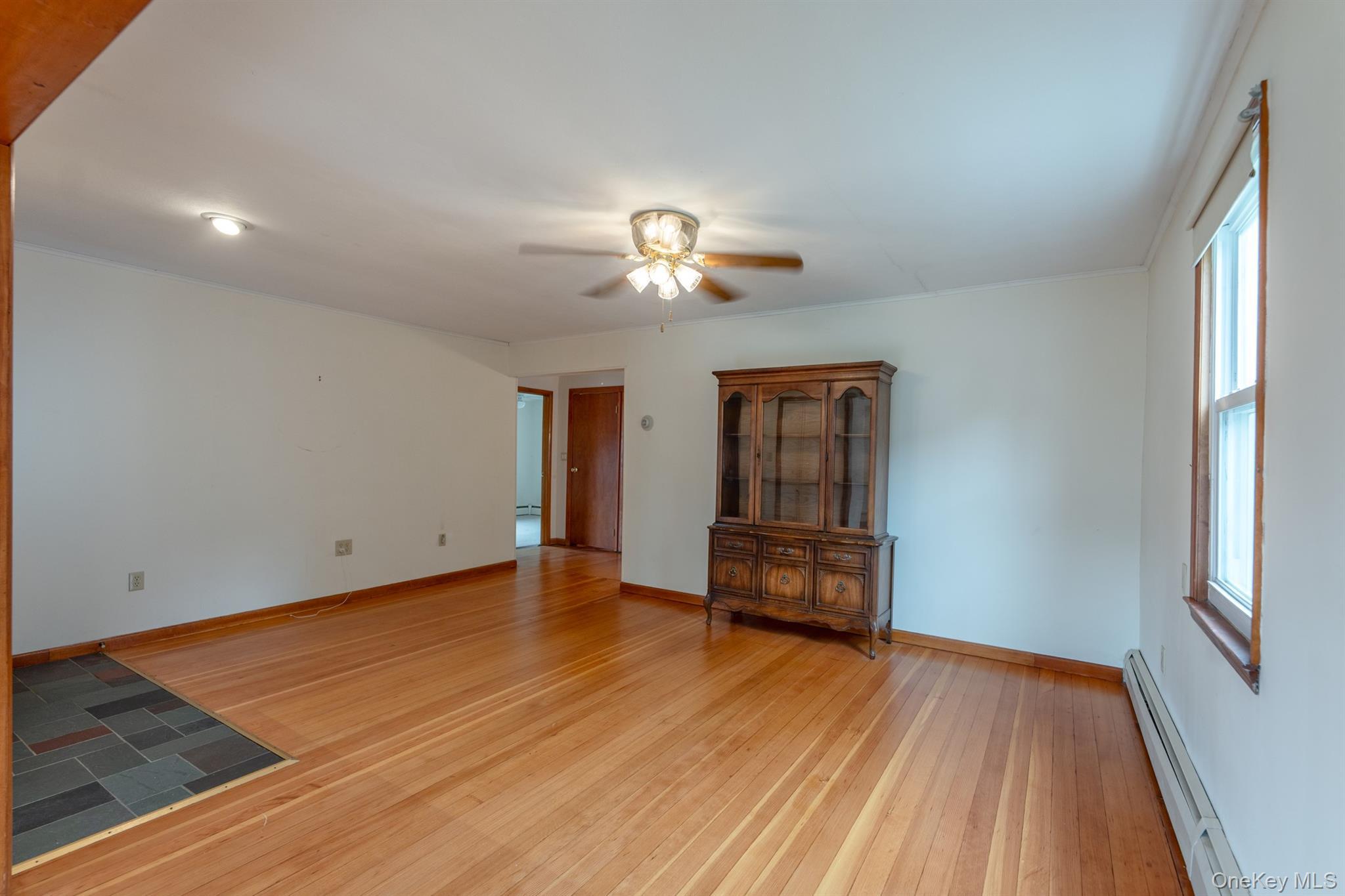 Single Family Petit Avenue Ulster County, NY 12401, MLS-1028078-19