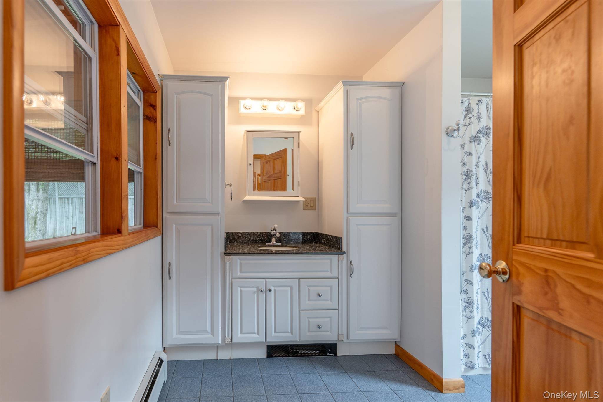 Single Family Petit Avenue Ulster County, NY 12401, MLS-1028078-35