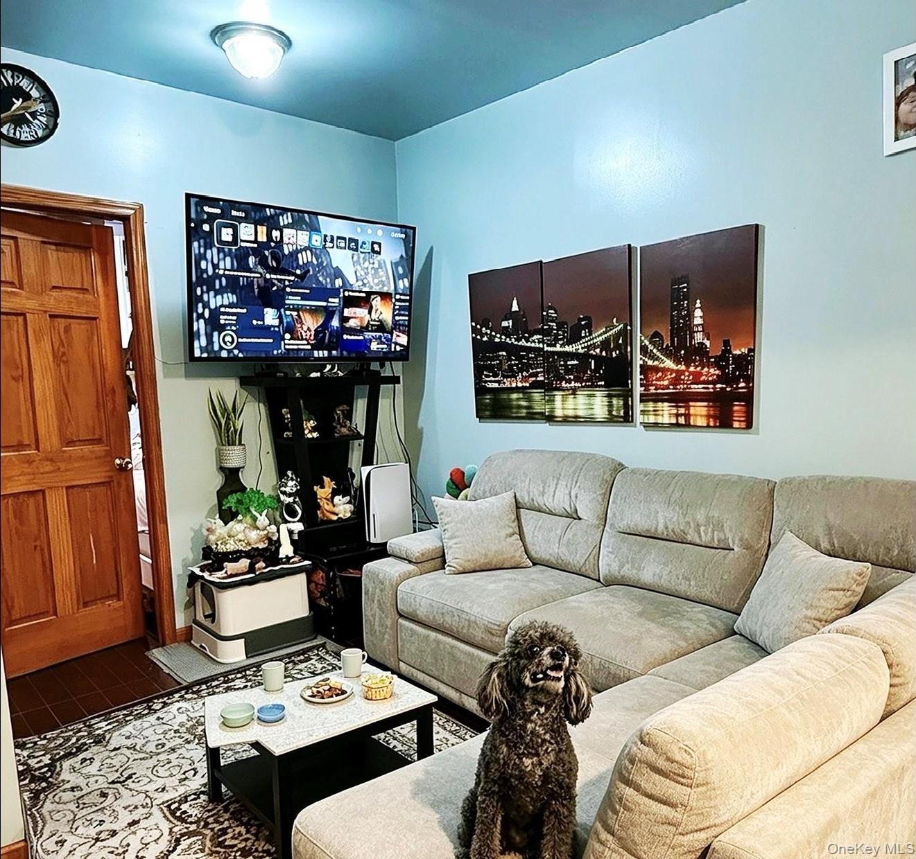 Single Family Northern Boulevard  Queens, NY 11368, MLS-1028126-3