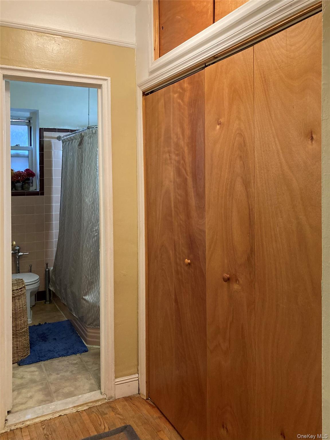 Apartment Saunders Street  Queens, NY 11374, MLS-1028226-9