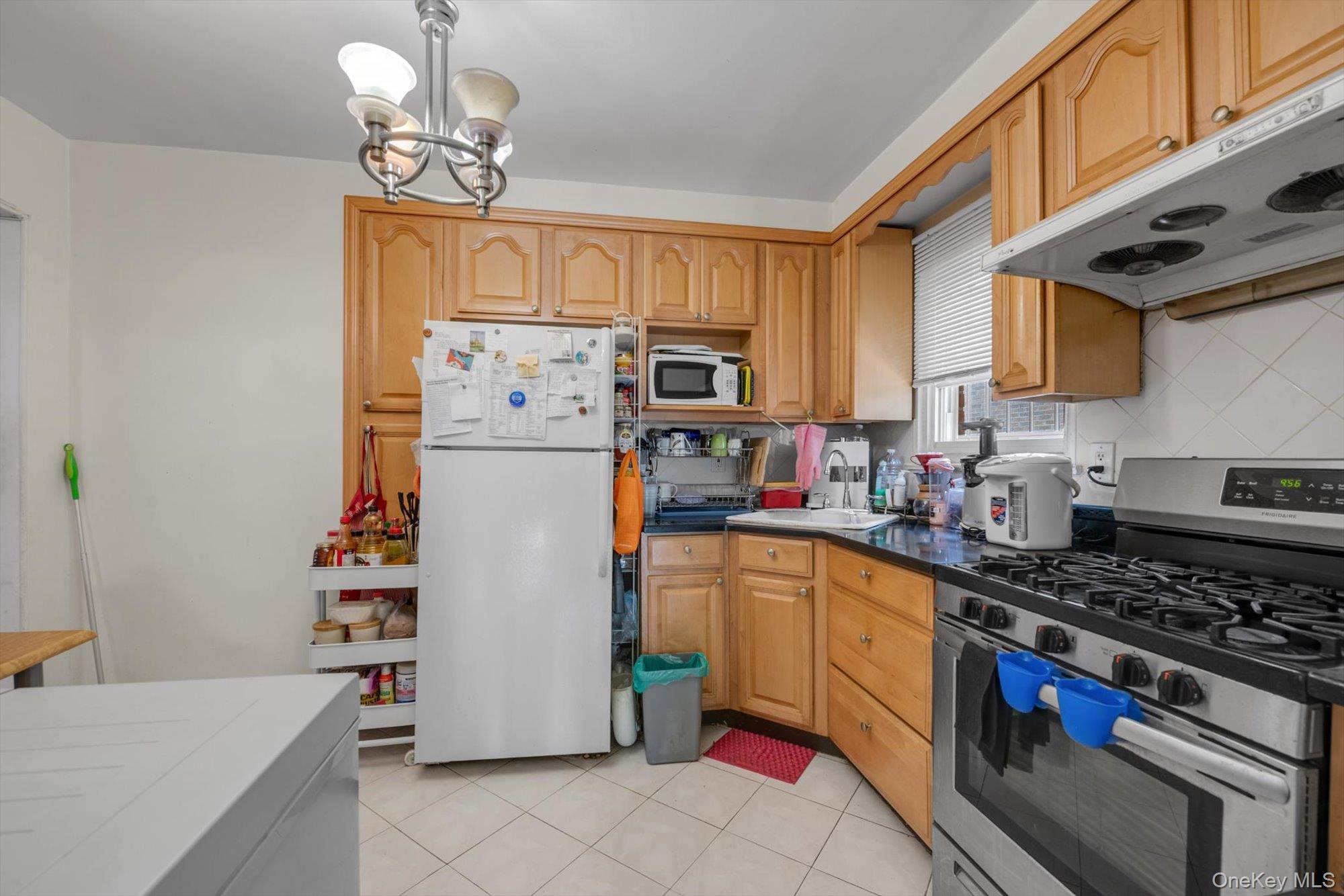Single Family 175th Street Queens, NY 11365, MLS-1028235-10