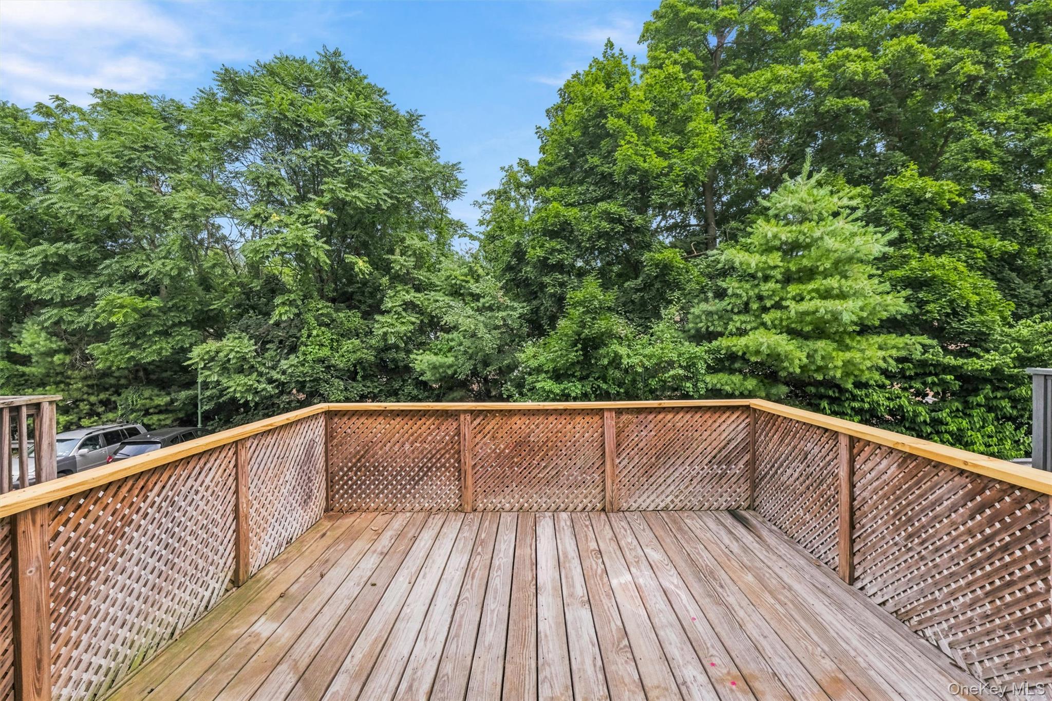 Single Family Park Street  Westchester County, NY 10566, MLS-1028318-36