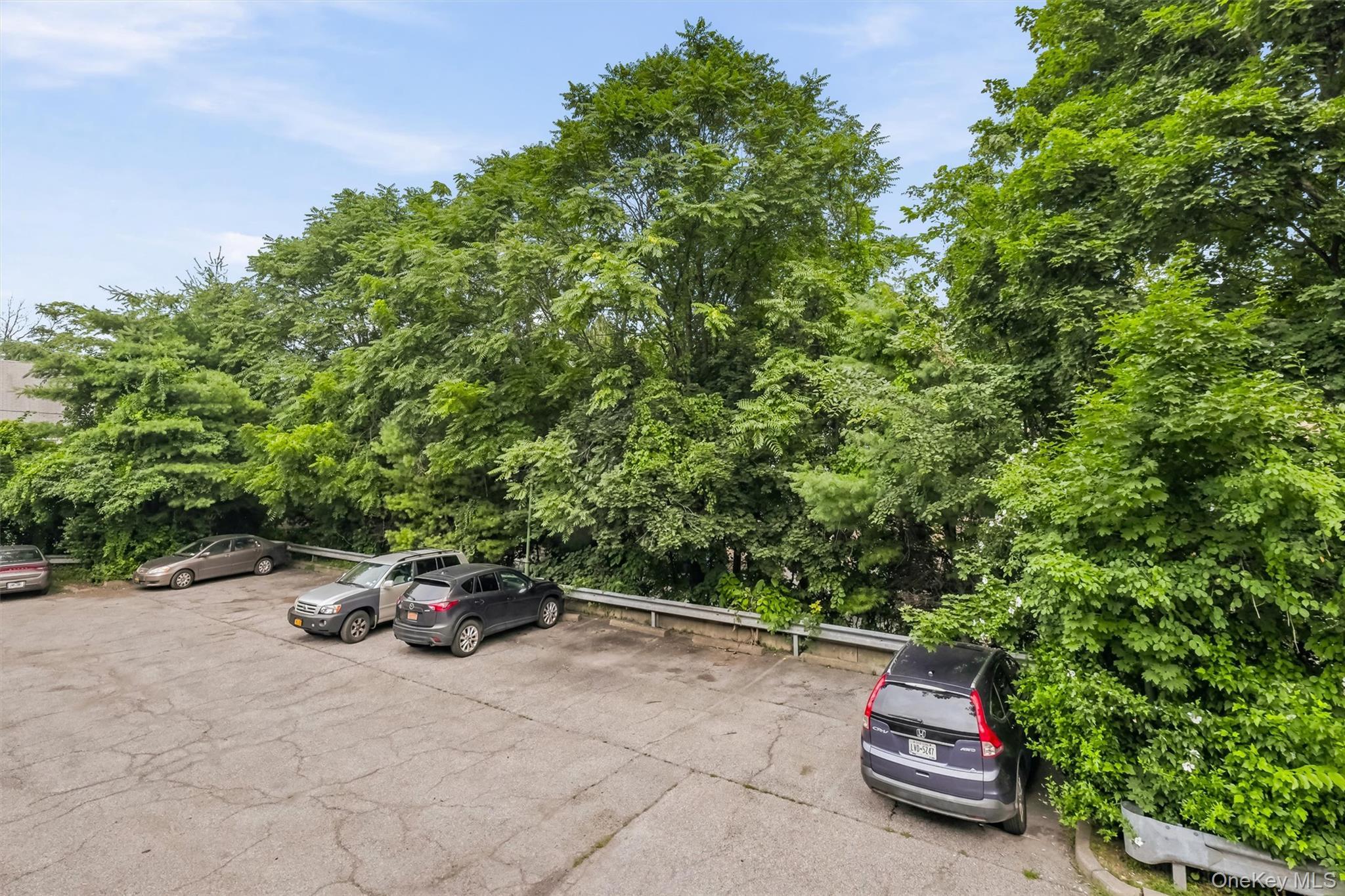 Single Family Park Street  Westchester County, NY 10566, MLS-1028318-38