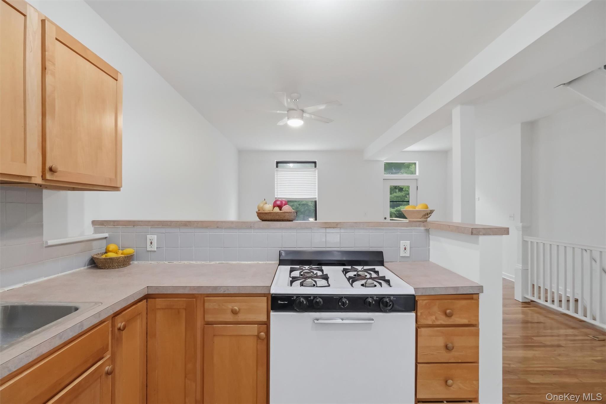 Single Family Park Street  Westchester County, NY 10566, MLS-1028318-7