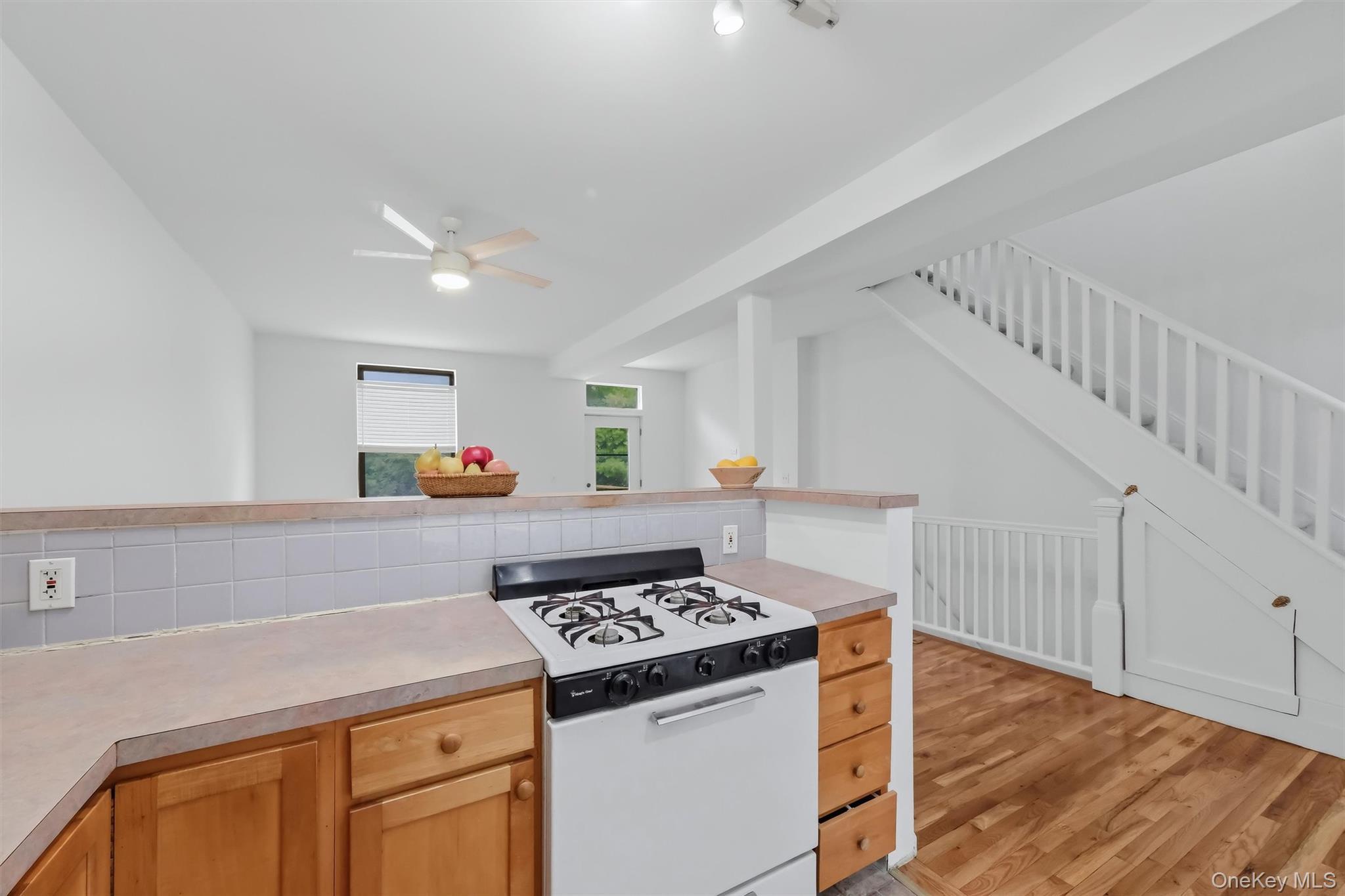 Single Family Park Street  Westchester County, NY 10566, MLS-1028318-8