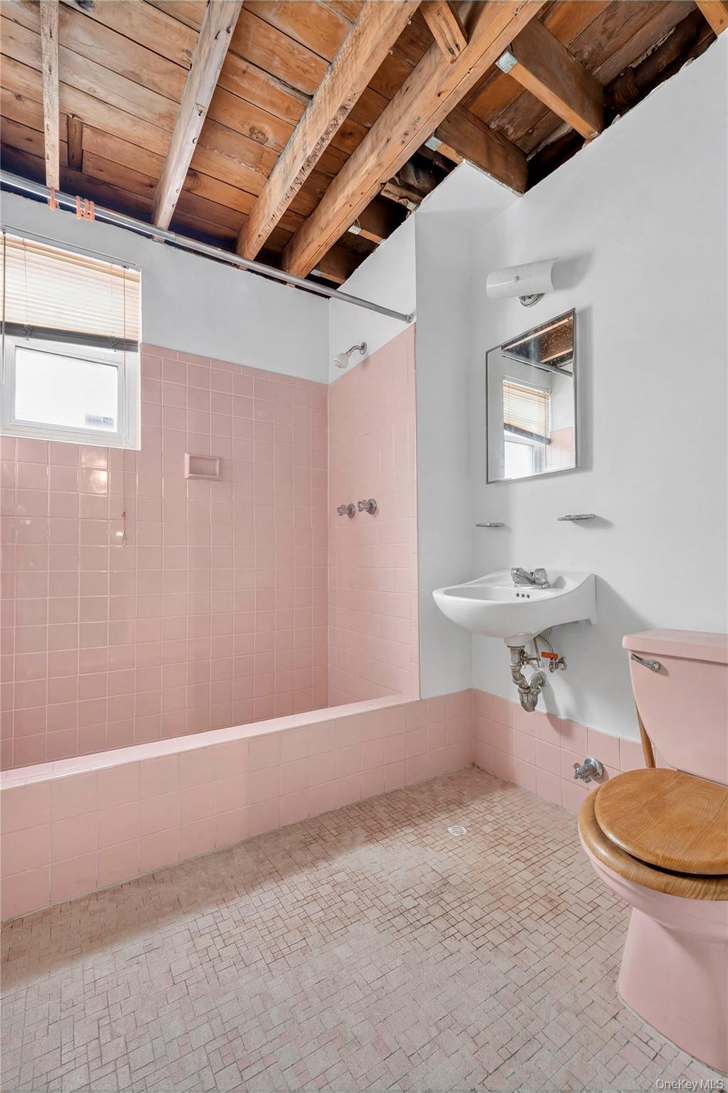 Single Family Sutter Avenue Queens, NY 11436, MLS-1028336-19