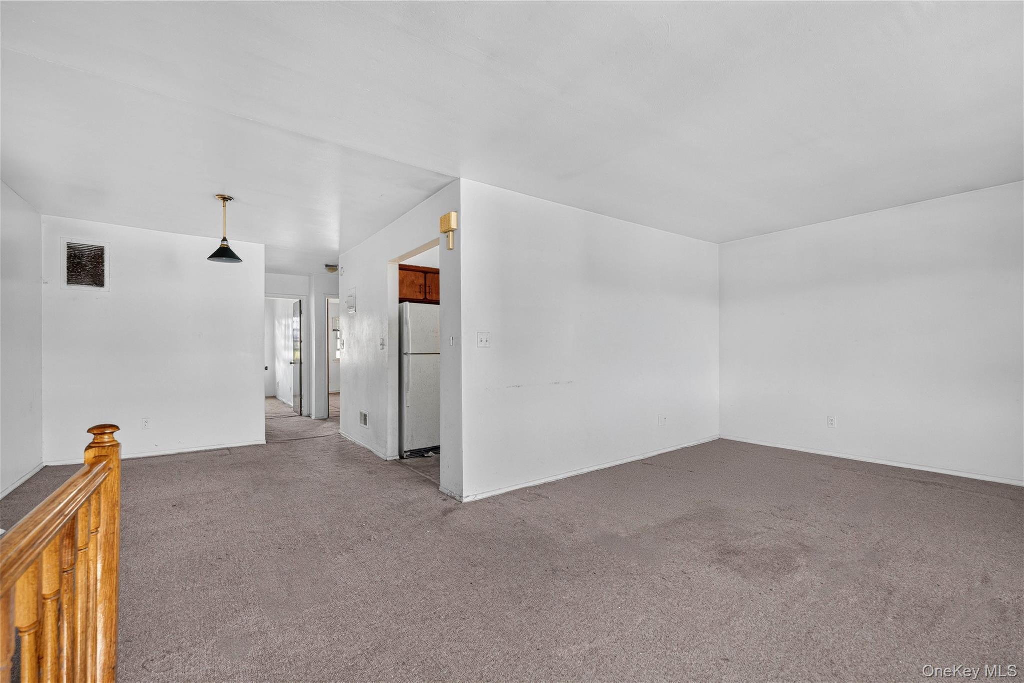 Single Family Sutter Avenue Queens, NY 11436, MLS-1028336-8