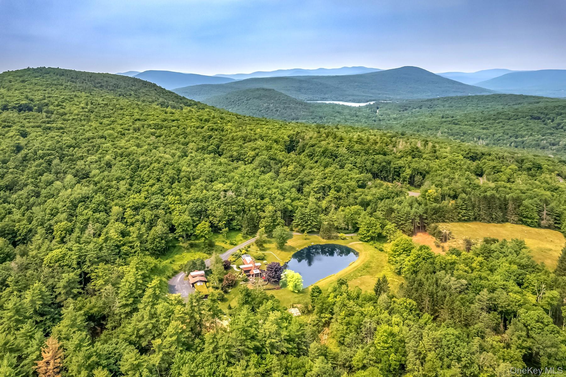 Single Family Macdaniel Road  Ulster County, NY 12409, MLS-1028356-2