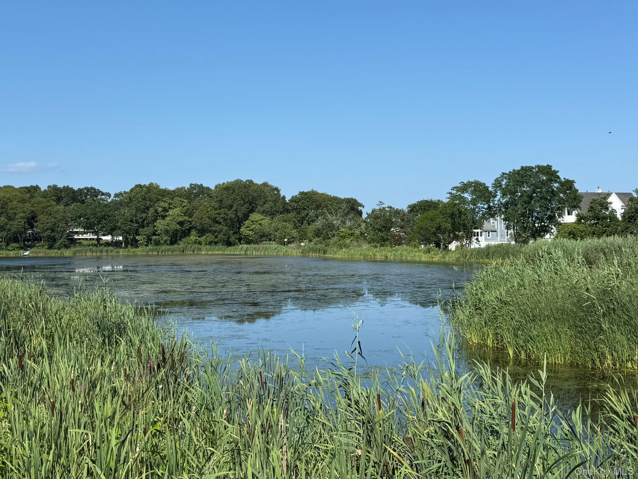 Single Family Cemetery Road  Suffolk County, NY 11939, MLS-1028434-33