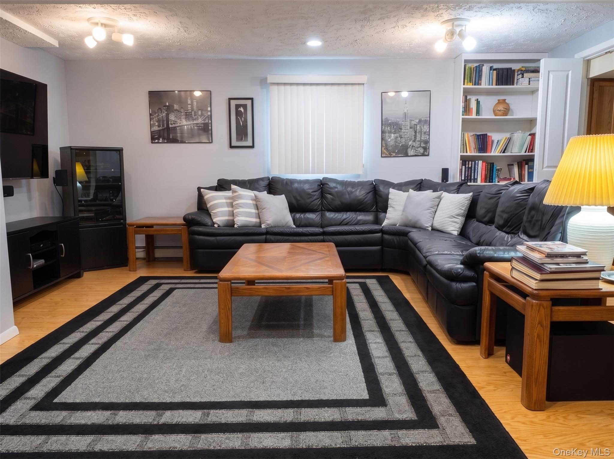 Single Family James Street Nassau County, NY 11758, MLS-1028511-12