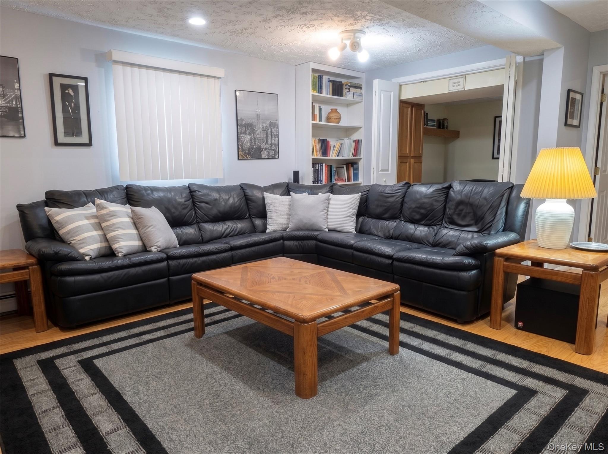 Single Family James Street Nassau County, NY 11758, MLS-1028511-13