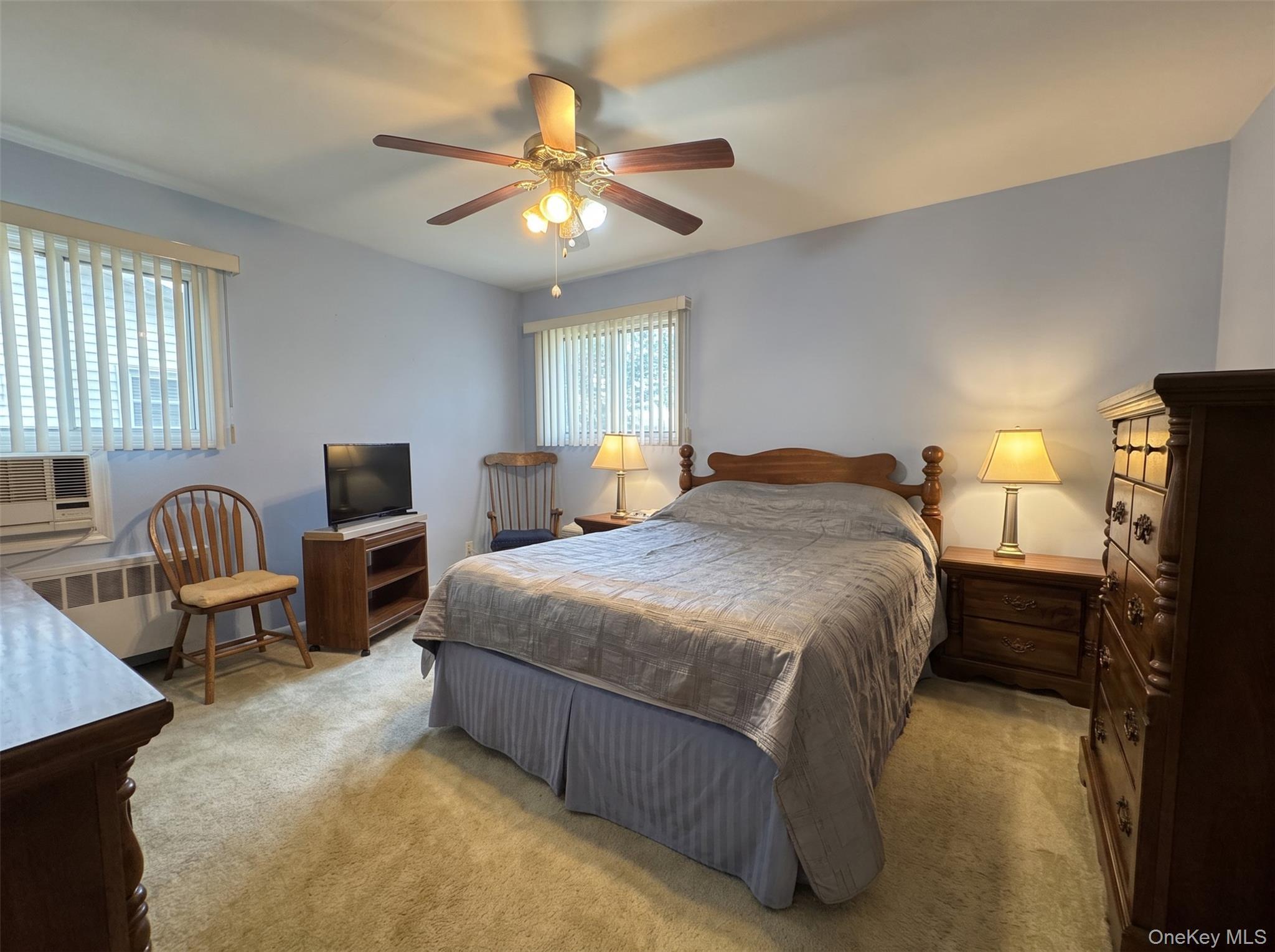 Single Family James Street Nassau County, NY 11758, MLS-1028511-18