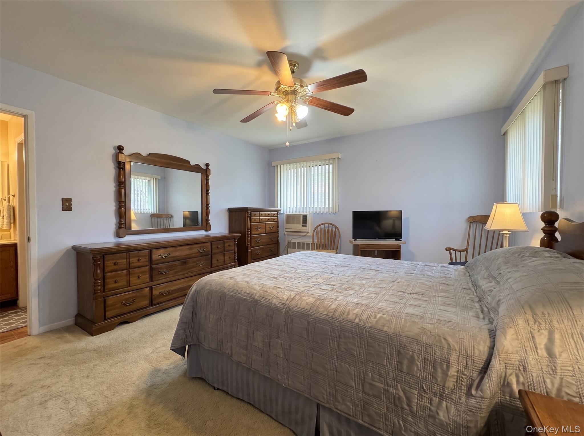 Single Family James Street Nassau County, NY 11758, MLS-1028511-19