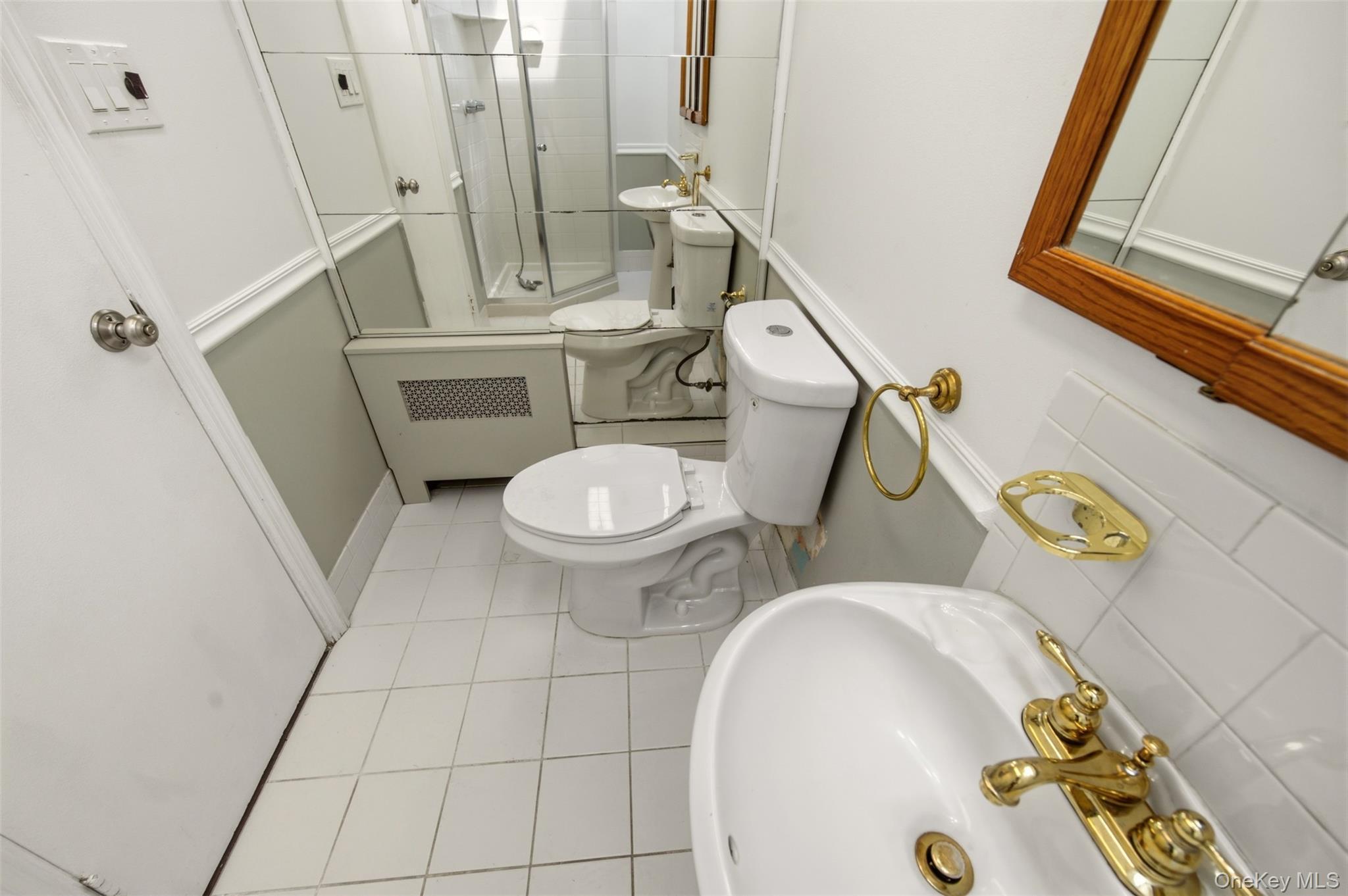 Single Family Clearmeadow Drive Nassau County, NY 11554, MLS-1028531-10