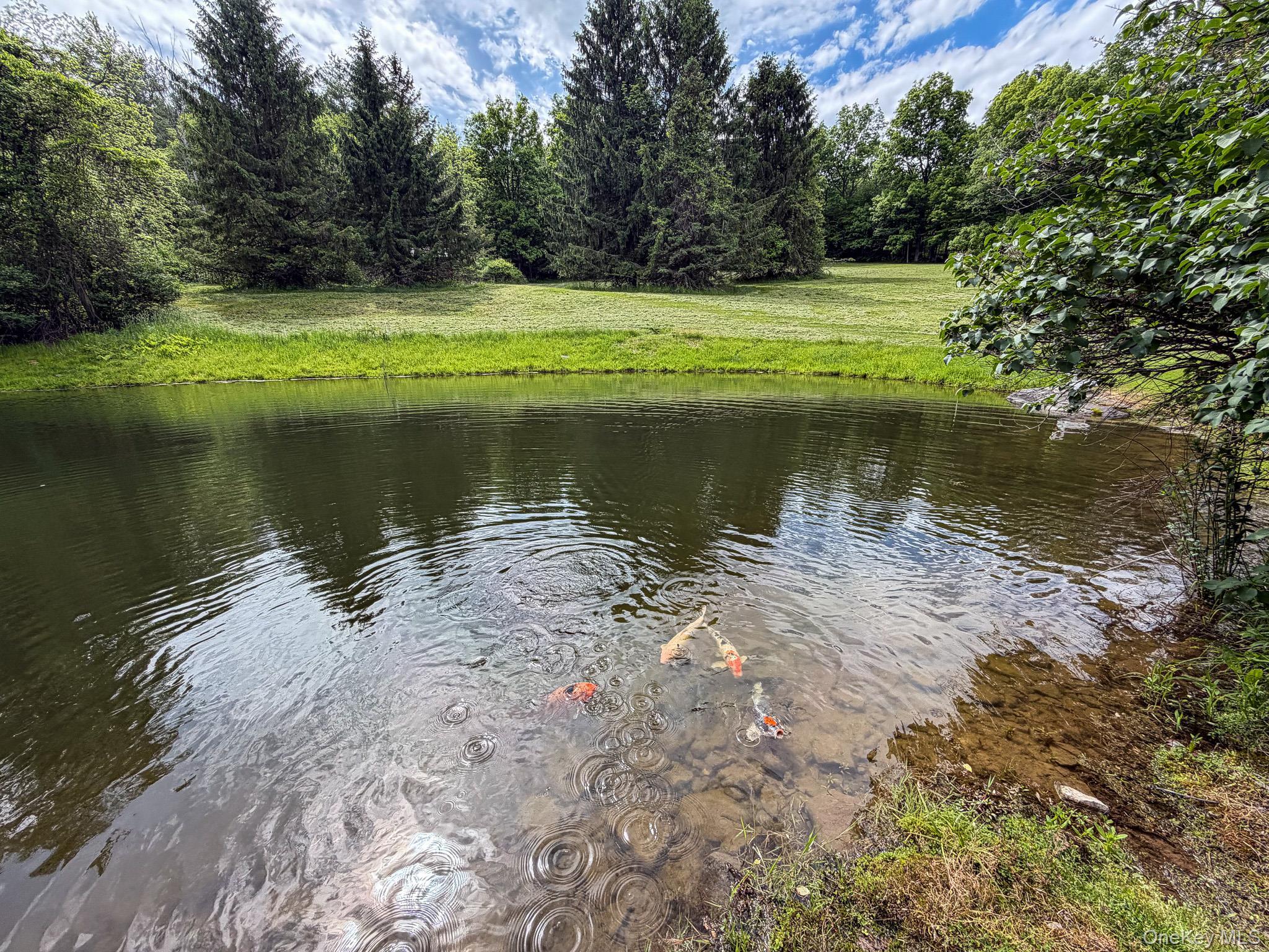 Single Family Camp Medusa Road Albany County, NY 12147, MLS-1028545-15