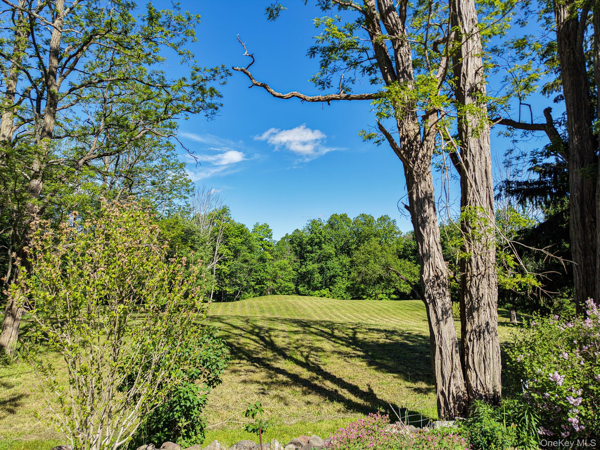 Single Family Camp Medusa Road Albany County, NY 12147, MLS-1028545-17
