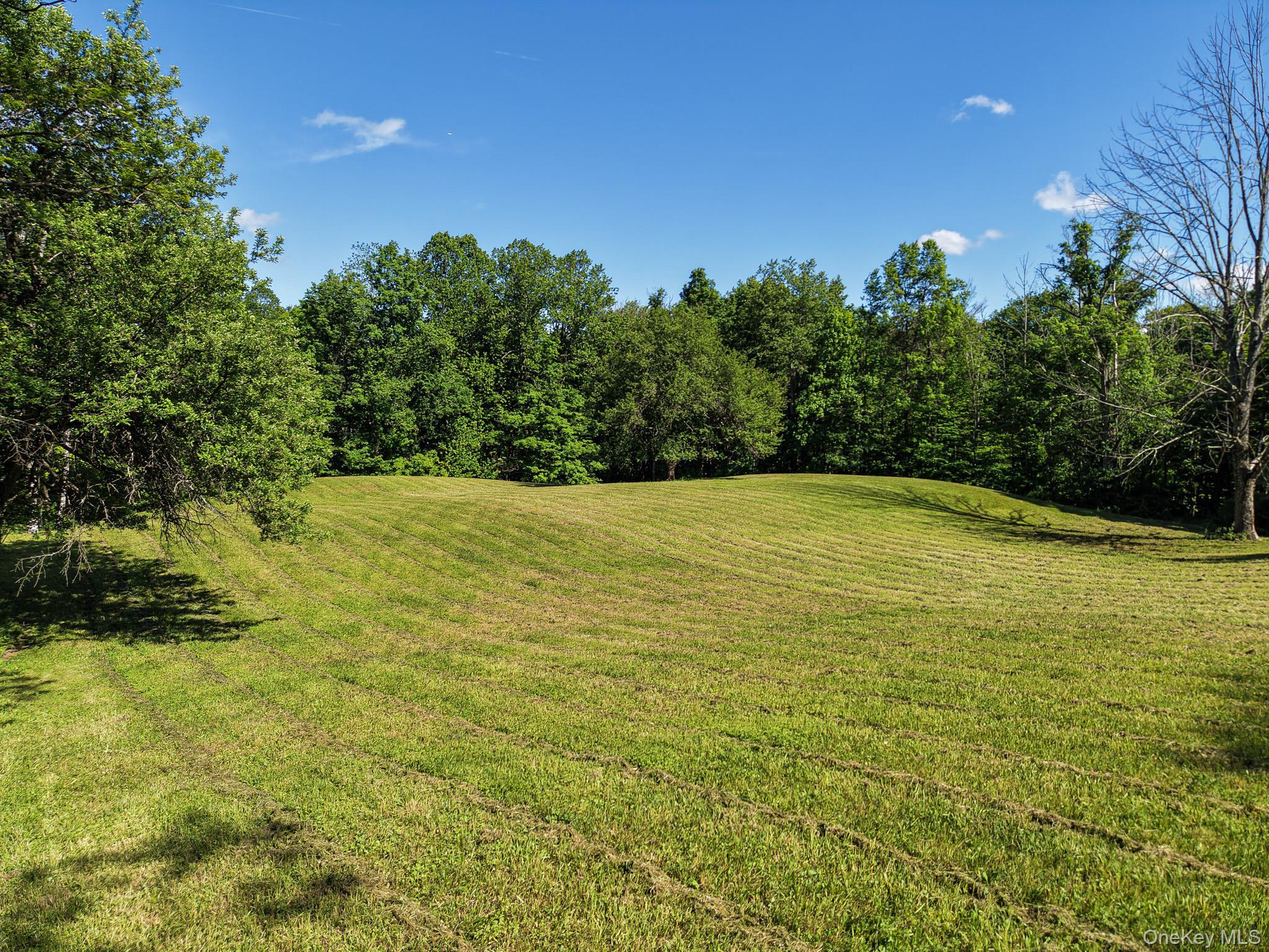 Single Family Camp Medusa Road  Albany County, NY 12147, MLS-1028545-18