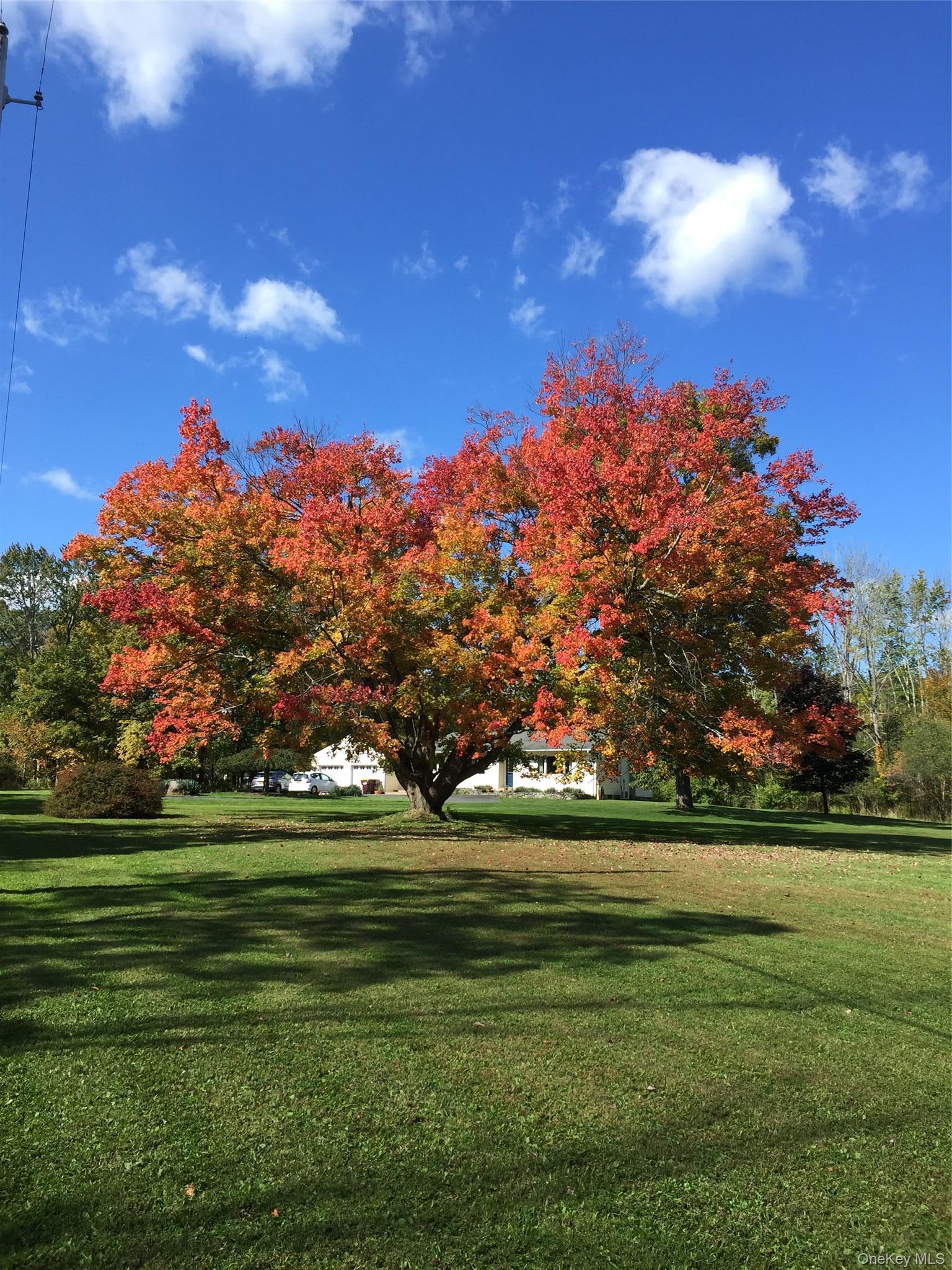 Single Family Murray Road Orange County, NY 10940, MLS-1028580-46