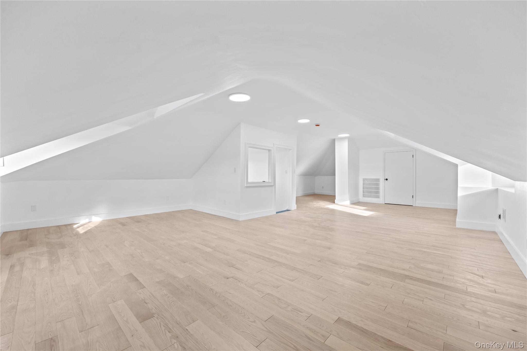 Single Family 153rd Street Queens, NY 11354, MLS-1028585-26