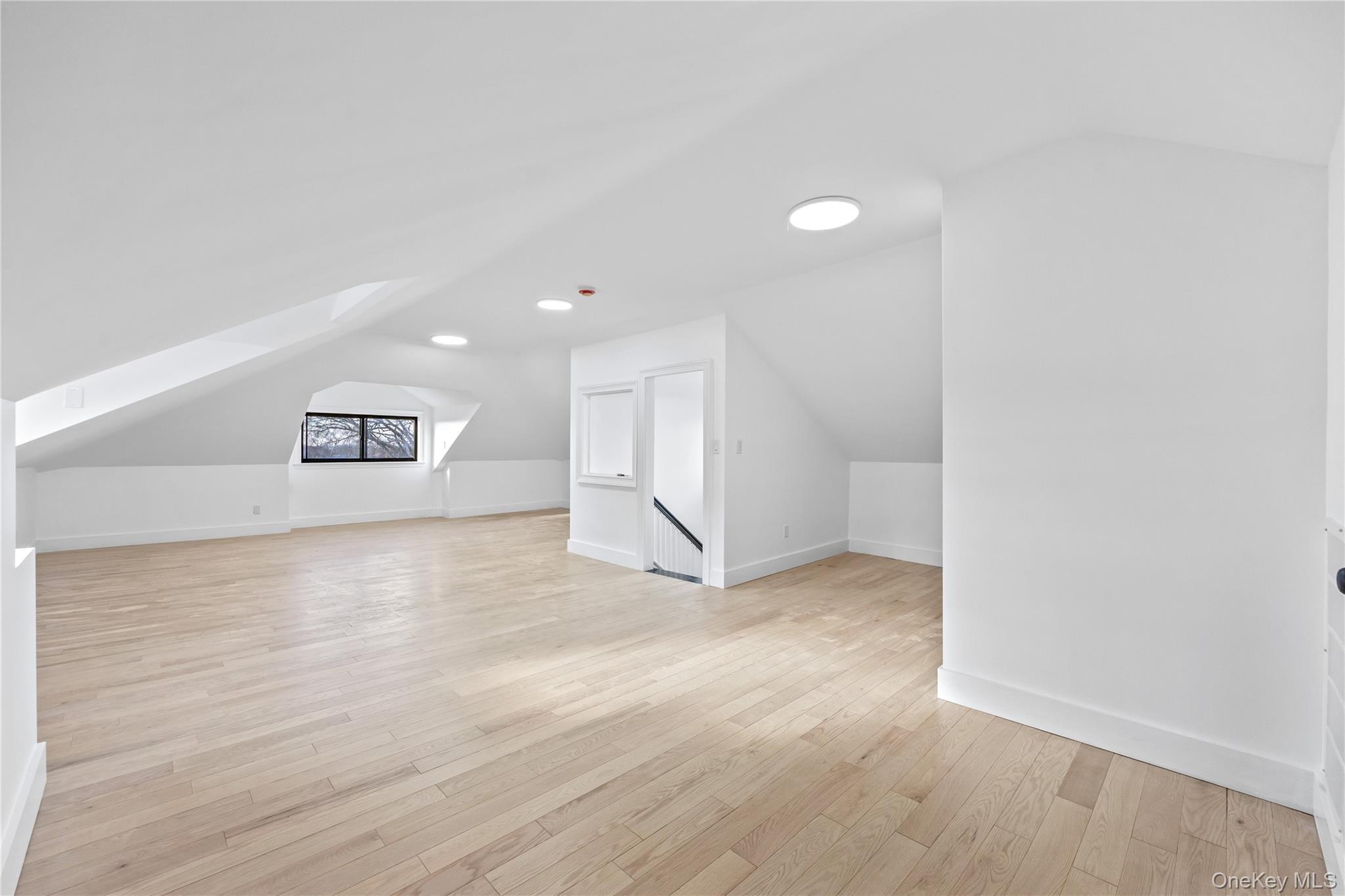 Single Family 153rd Street Queens, NY 11354, MLS-1028585-27