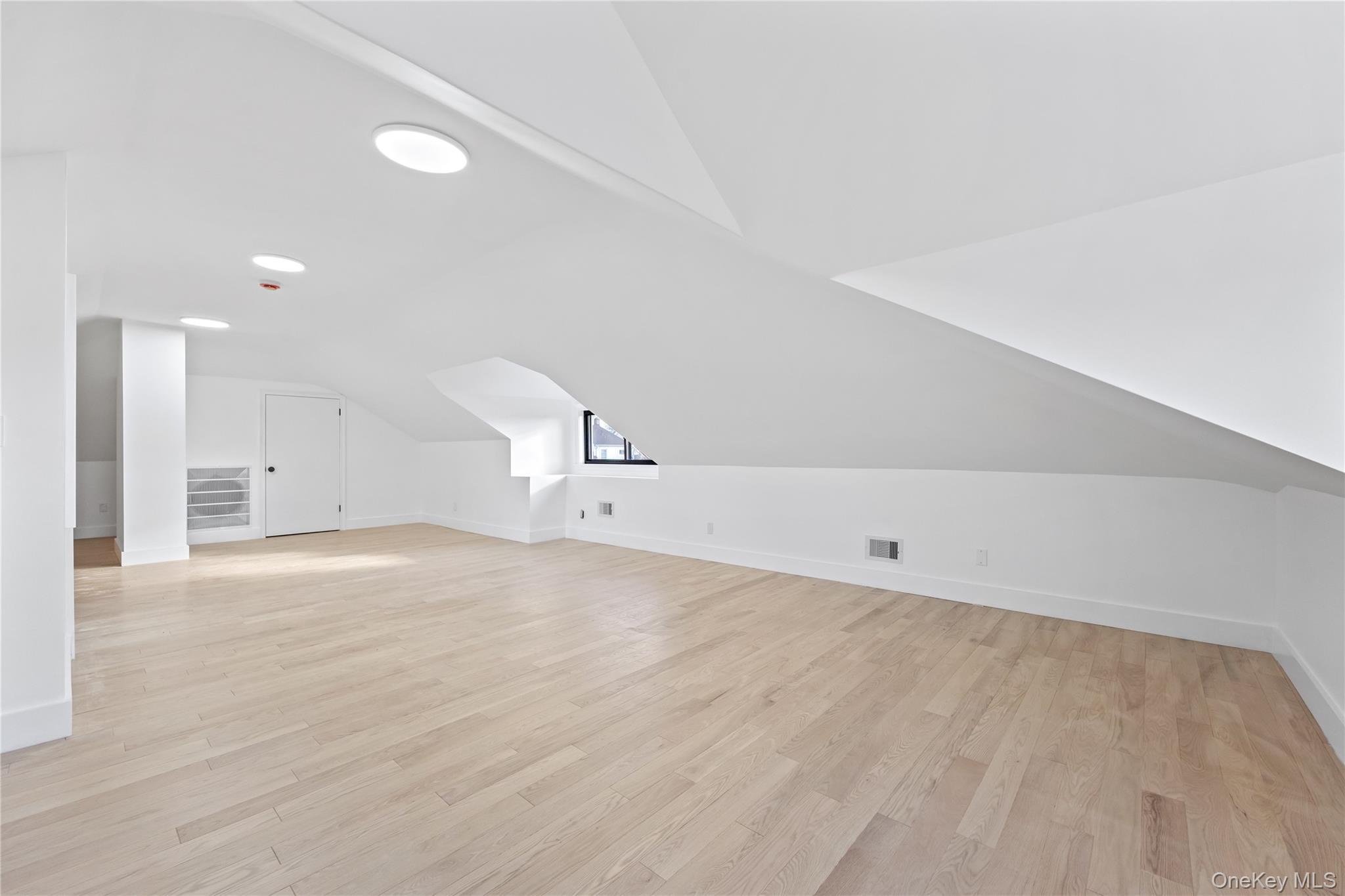 Single Family 153rd Street Queens, NY 11354, MLS-1028585-28