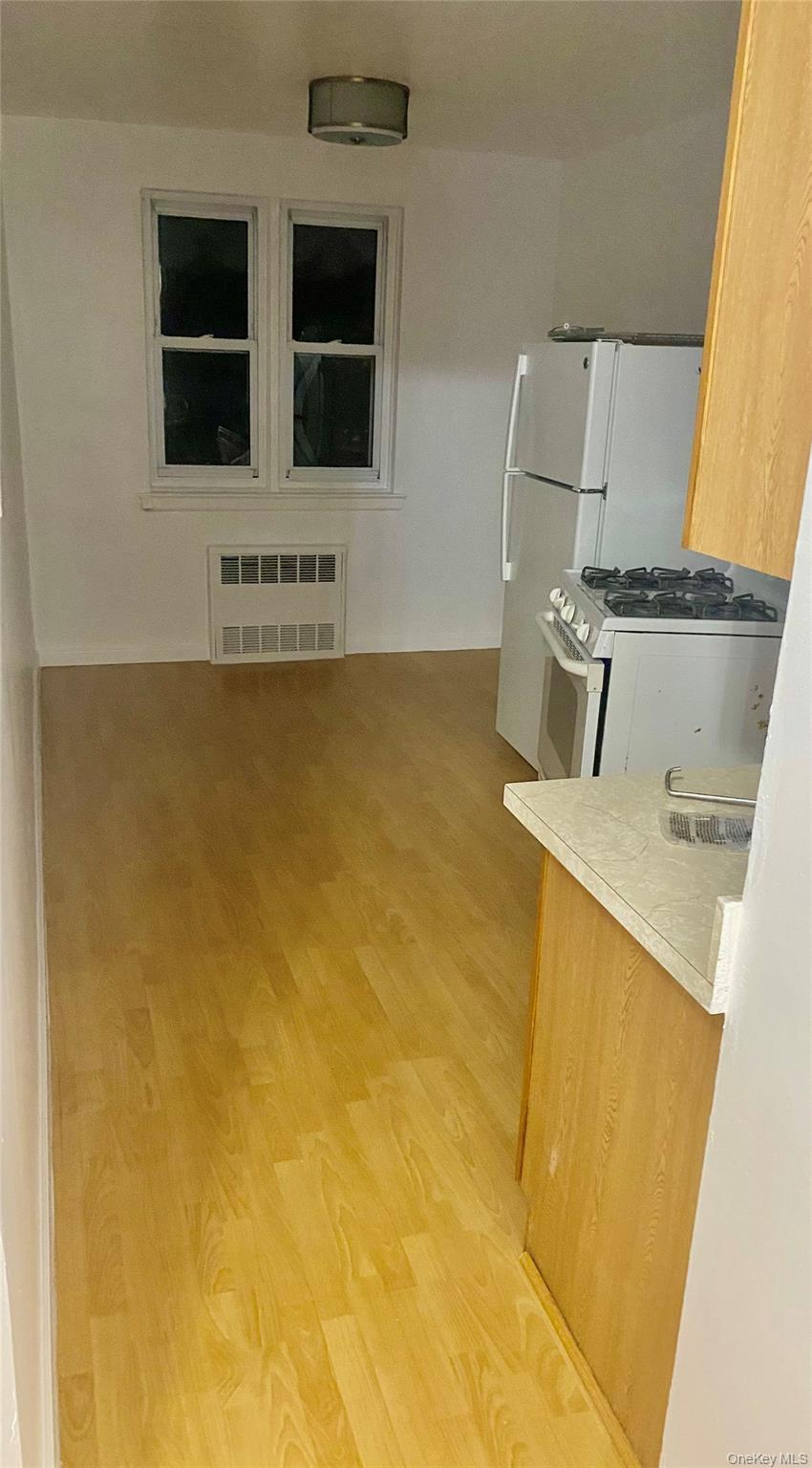 Single Family E 52nd Street Brooklyn, NY 11234, MLS-1028592-12