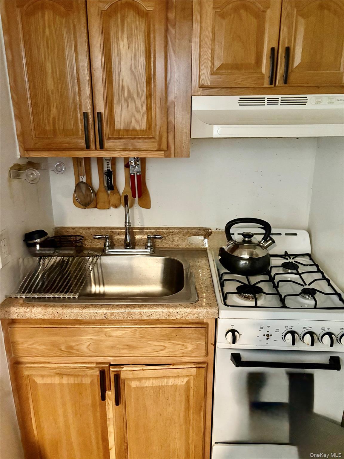 Single Family E 52nd Street Brooklyn, NY 11234, MLS-1028592-29