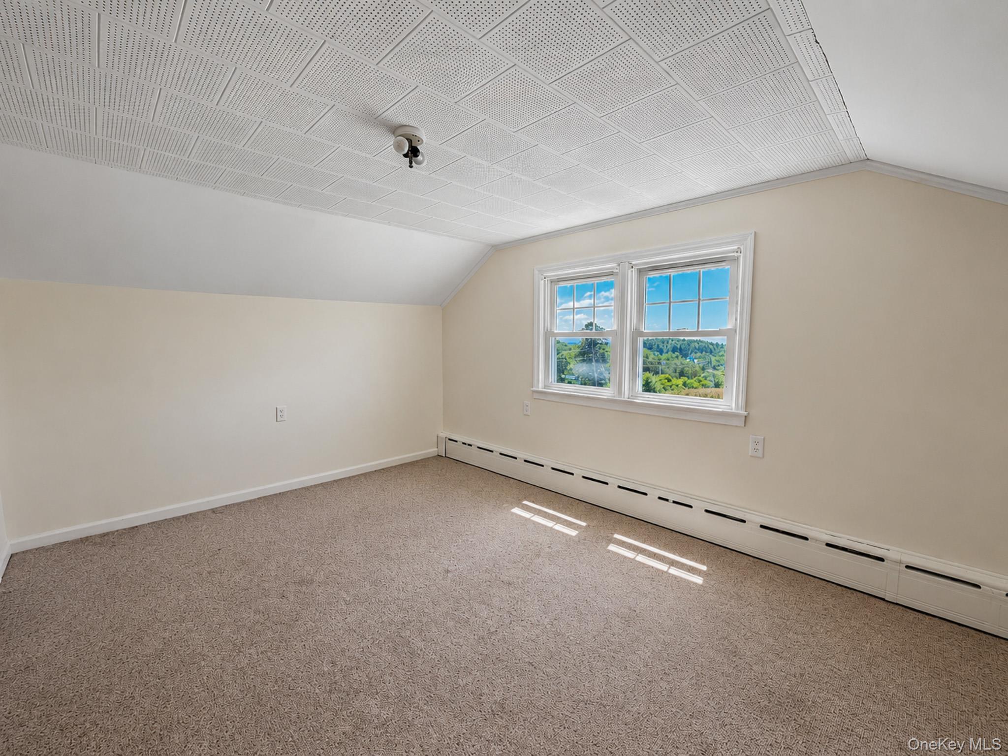 Single Family North Greene County, NY 12083, MLS-1028624-18