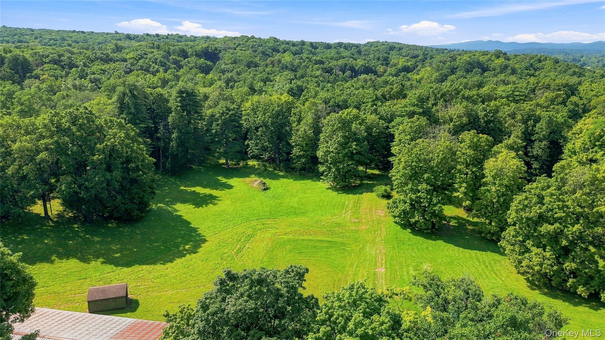 Single Family Haggerty Hill Road  Dutchess County, NY 12572, MLS-1028649-37