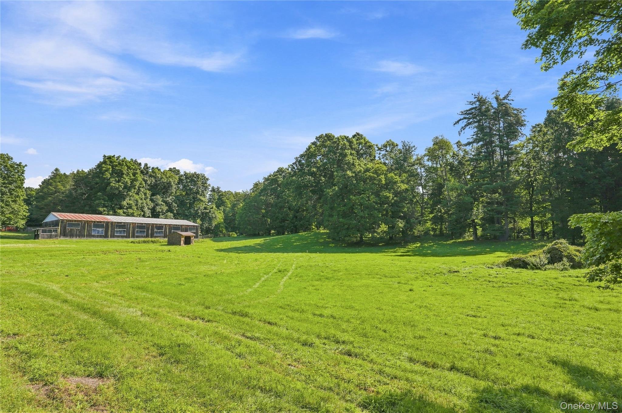 Single Family Haggerty Hill Road  Dutchess County, NY 12572, MLS-1028649-39