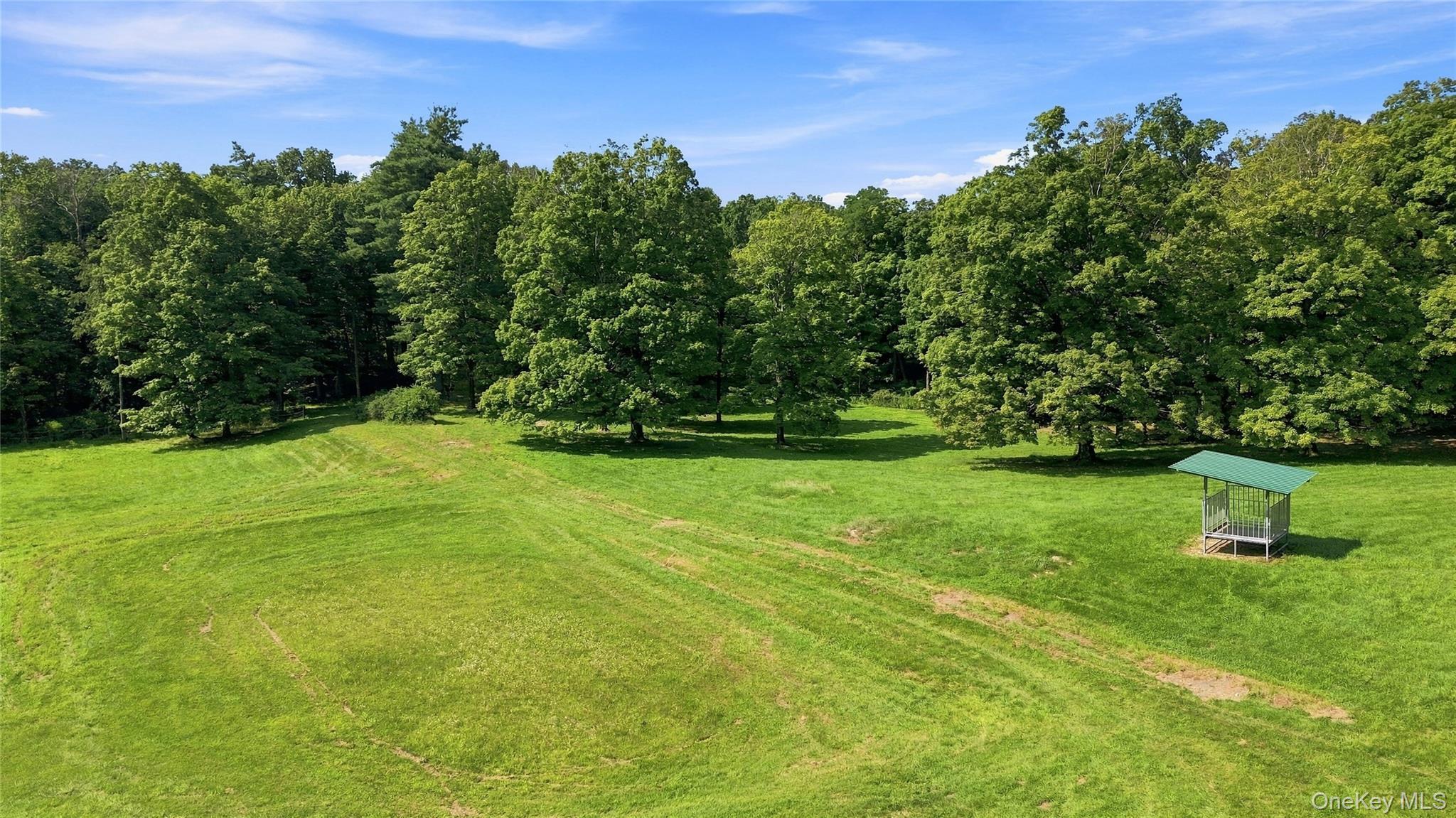 Single Family Haggerty Hill Road  Dutchess County, NY 12572, MLS-1028649-40