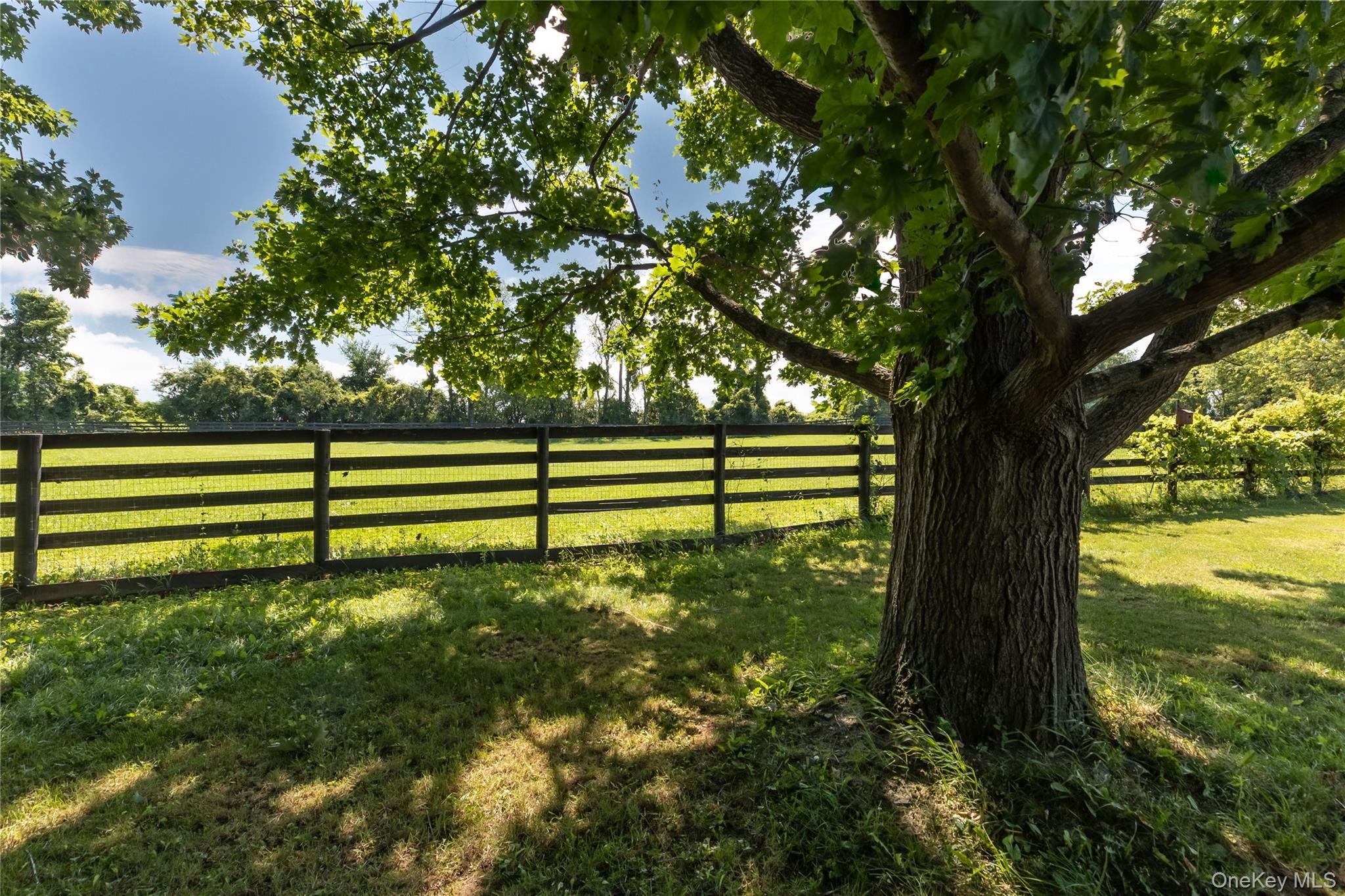 Single Family Gannon Road Out Of Area, NY 12028, MLS-1028687-8