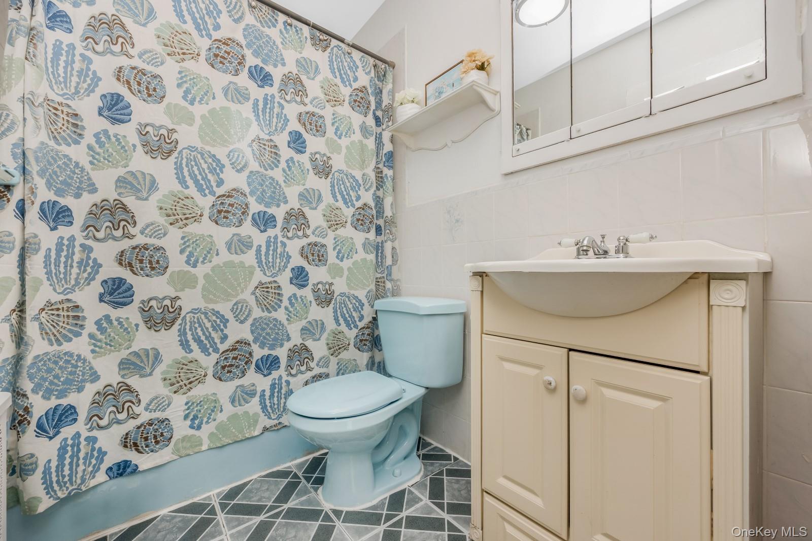 Single Family 80th Street Queens, NY 11379, MLS-1028723-17