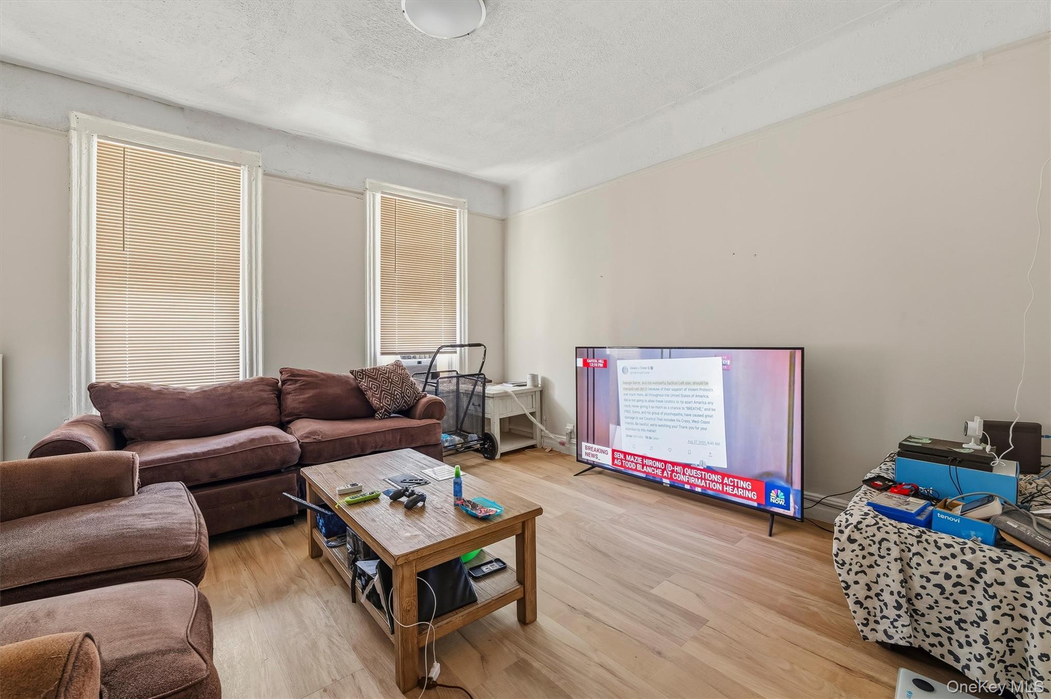 Single Family Croes Avenue Bronx, NY 10472, MLS-1028740-8