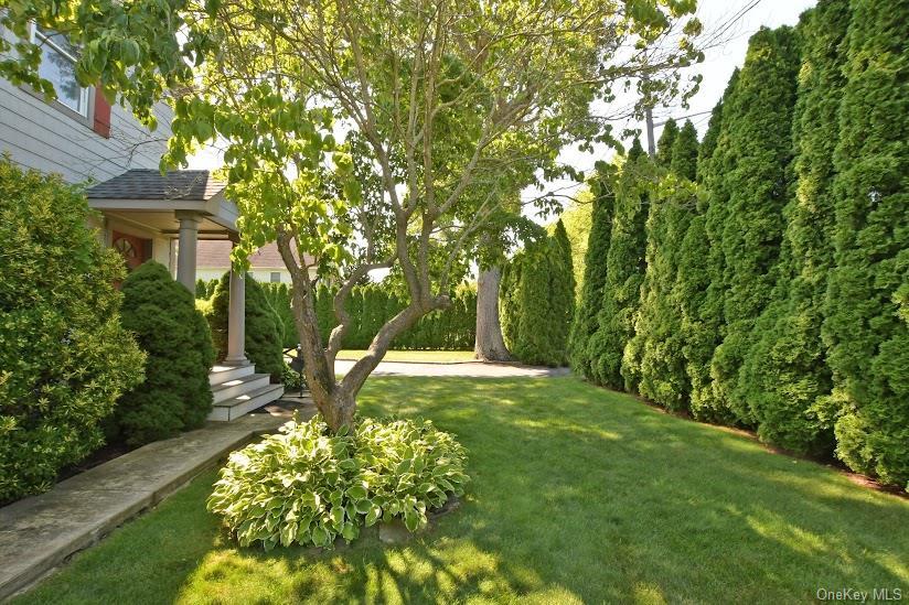 Single Family Marcy Avenue  Suffolk County, NY 11901, MLS-1028749-46