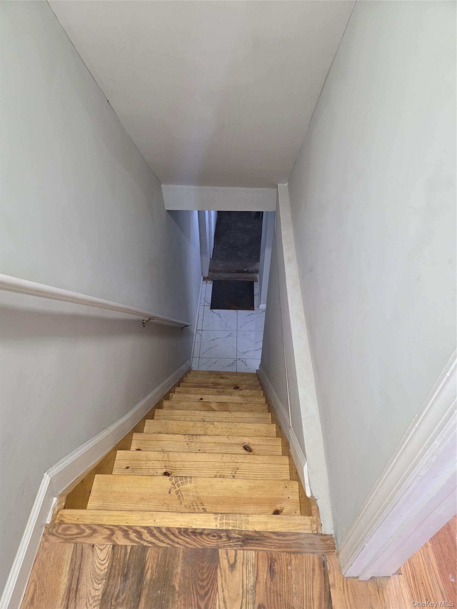 Single Family Logan Street Brooklyn, NY 11208, MLS-1028752-14