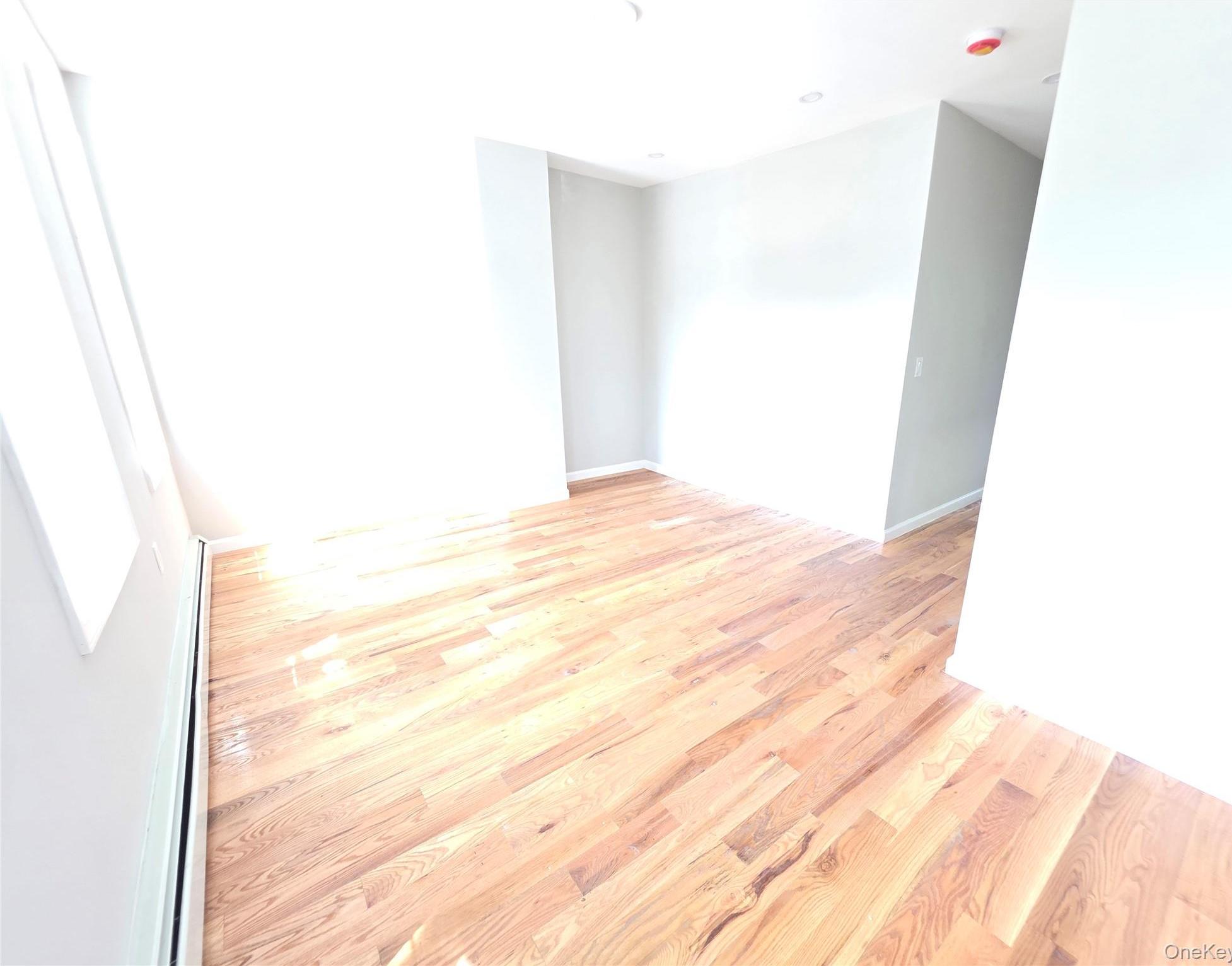Single Family Logan Street Brooklyn, NY 11208, MLS-1028752-25