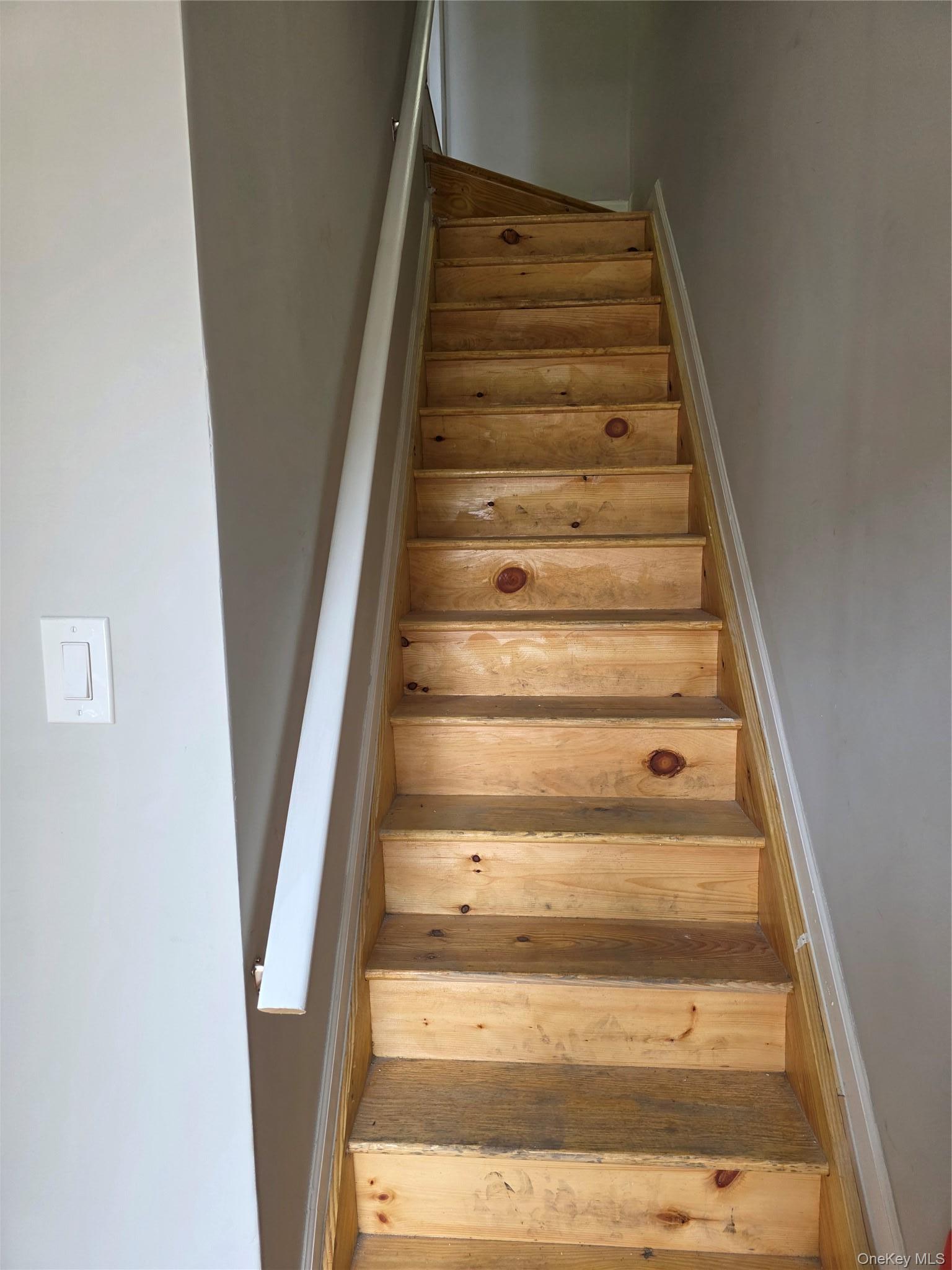 Single Family Logan Street Brooklyn, NY 11208, MLS-1028752-3
