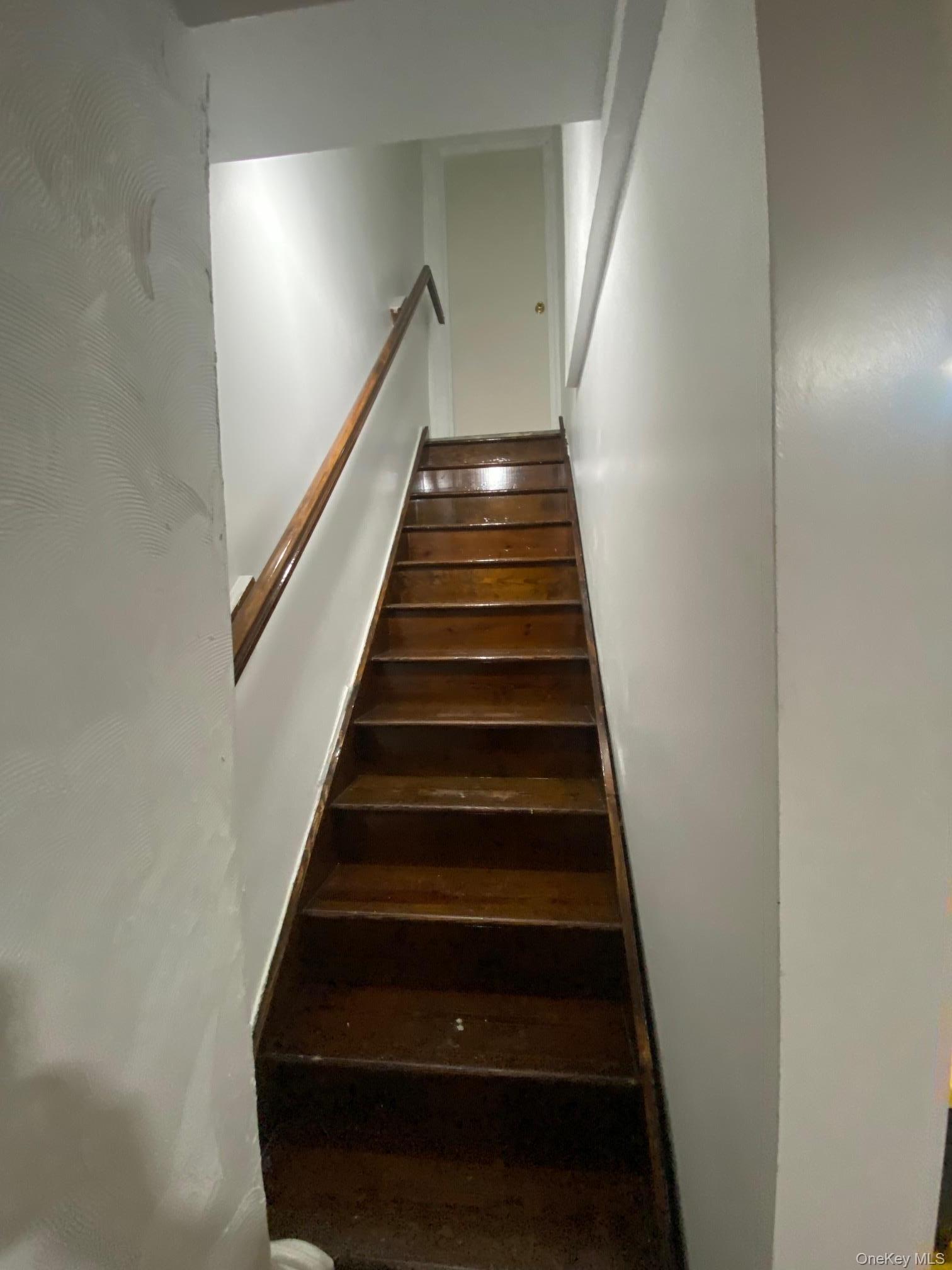 Single Family Digney Avenue  Bronx, NY 10466, MLS-1028801-28
