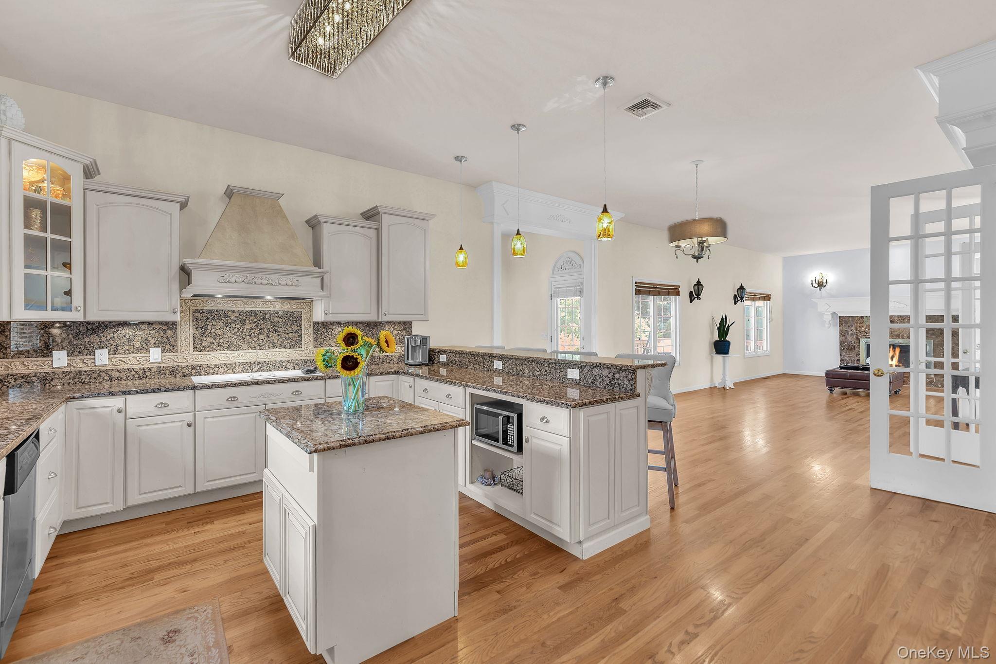 Single Family Dover Court Suffolk County, NY 11792, MLS-1028845-16