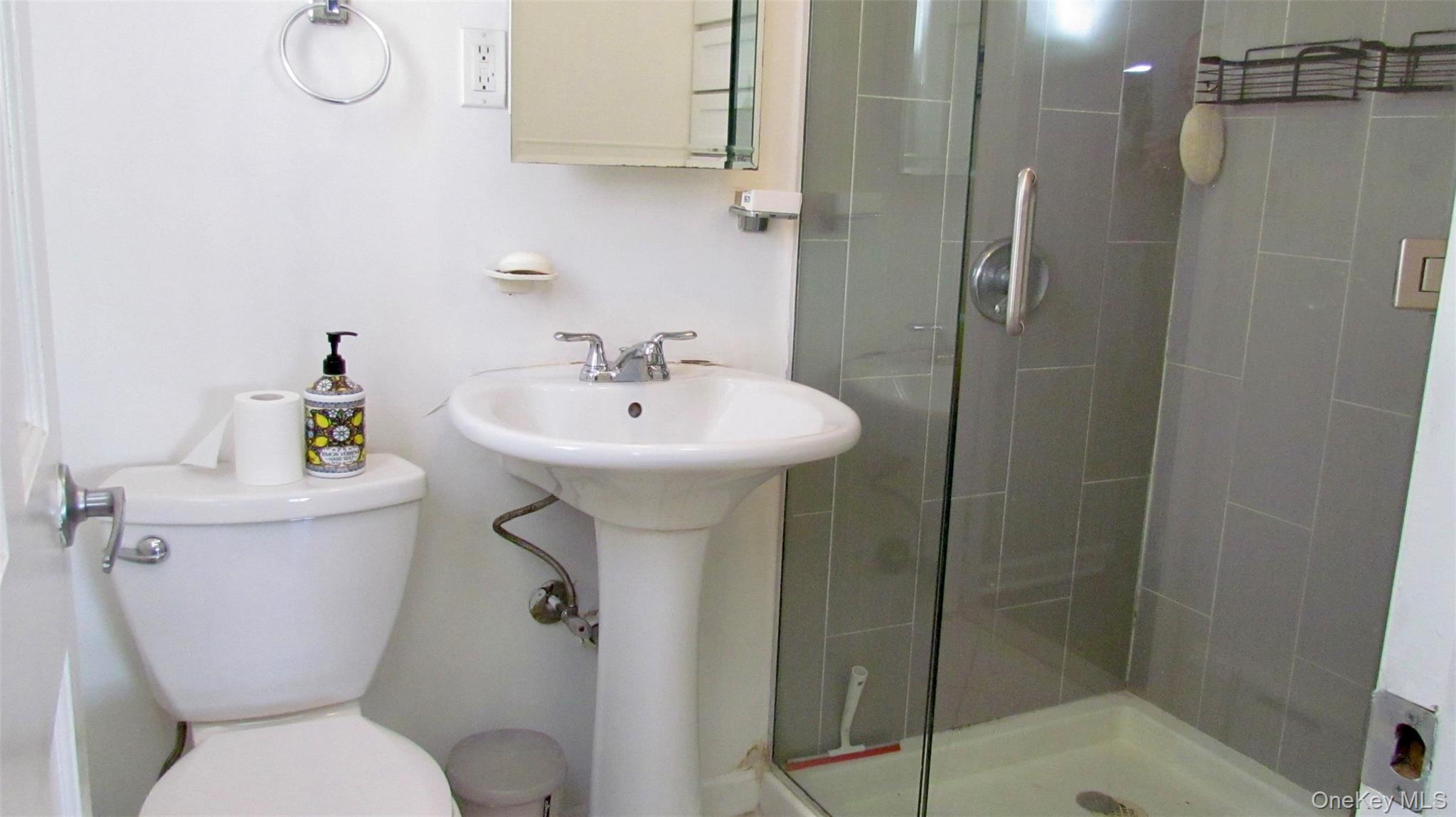 Single Family 74th Street Queens, NY 11379, MLS-1028847-18